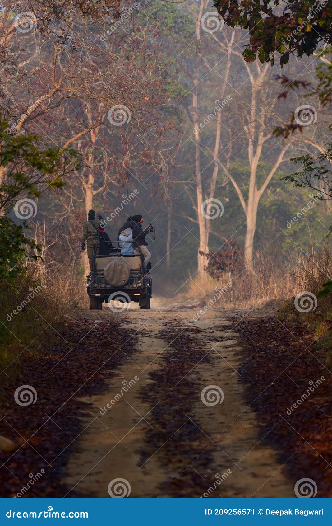 morning safari at jim corbett