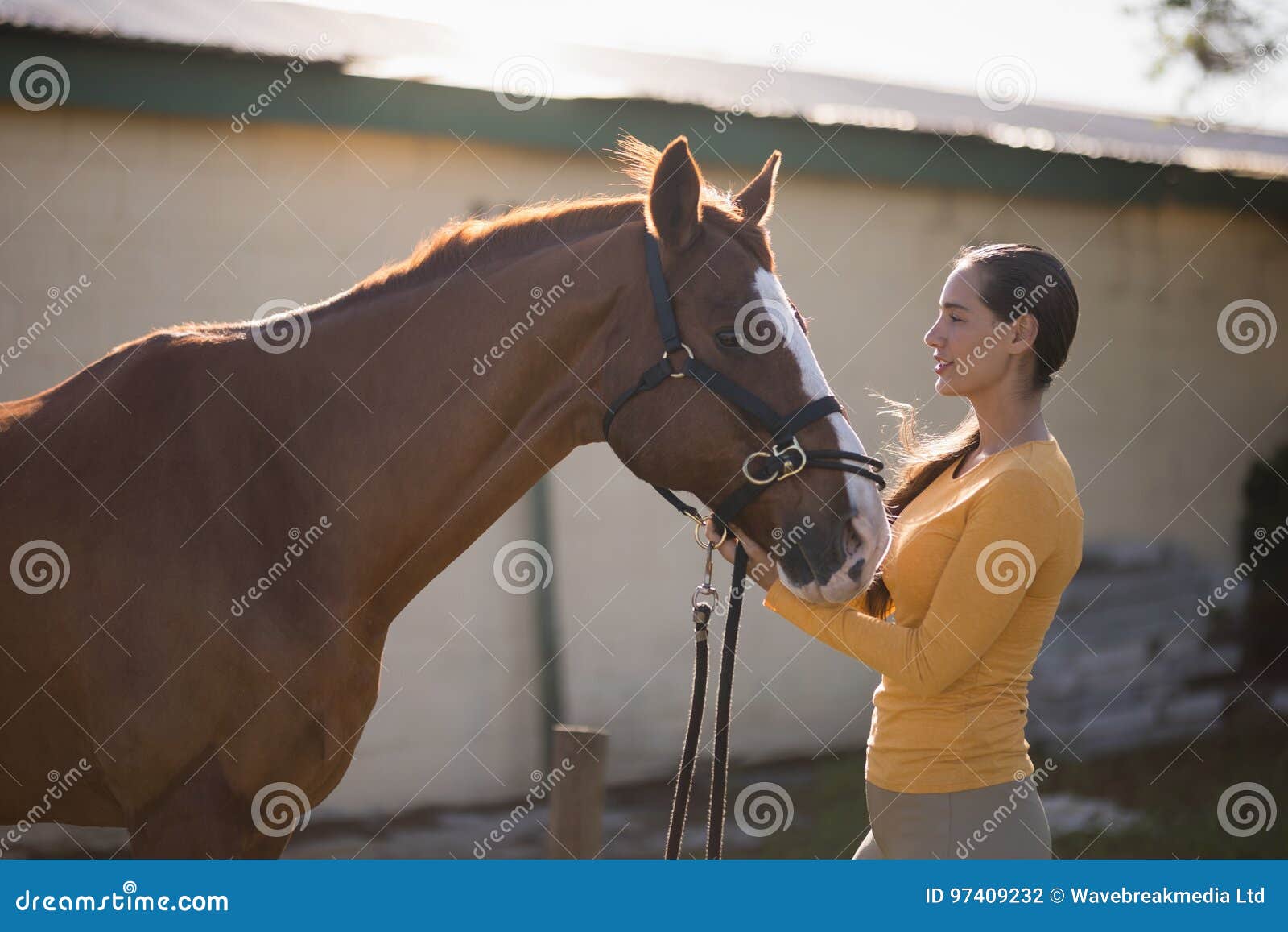 Caballos y mujeres sexo