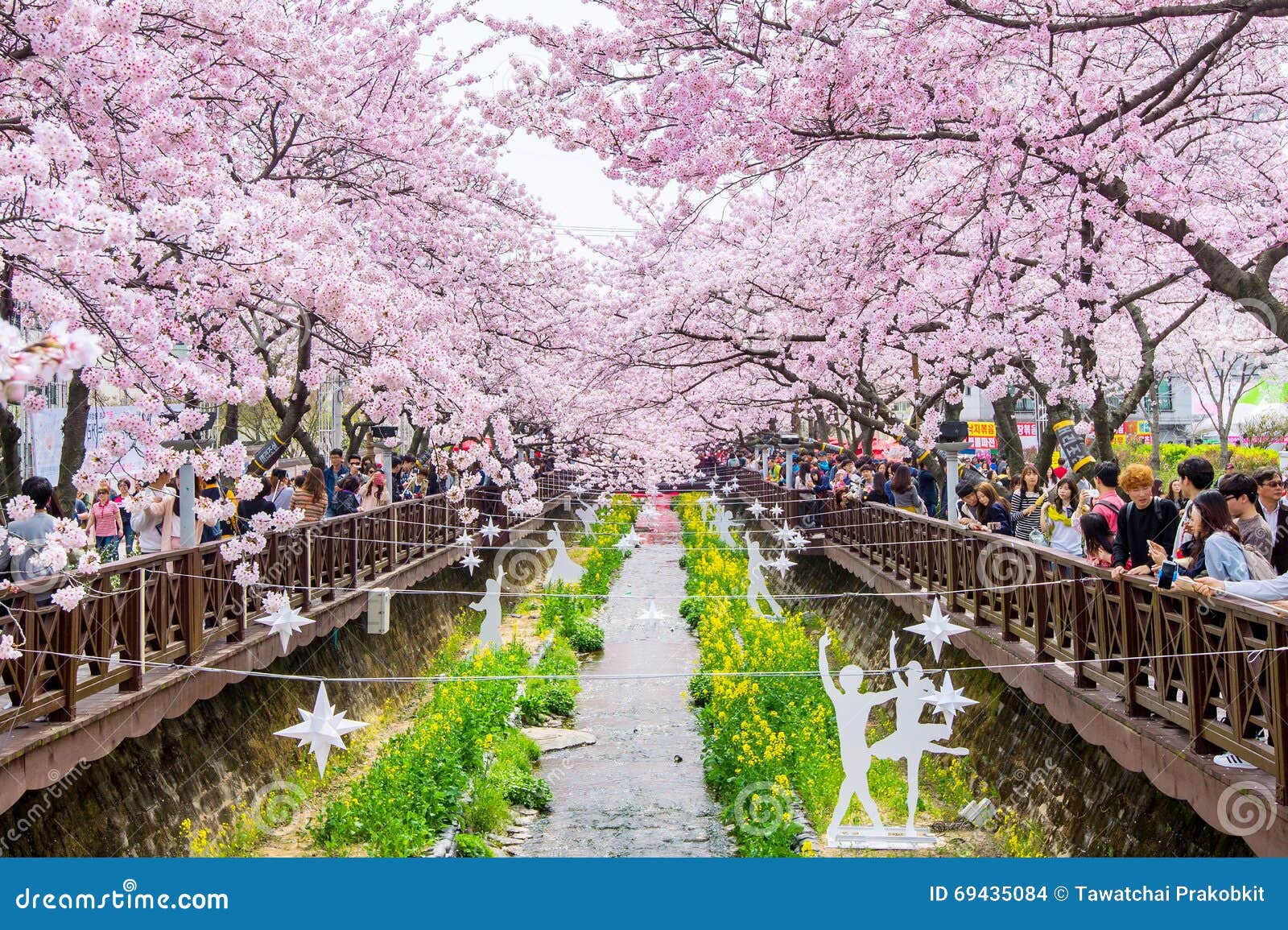 Jinhae Gunhangje Festival Is The Largest Cherry Blossom Festival In jinhae-gunhangje-festival-is-the-largest-cherry-blossom-festival-in