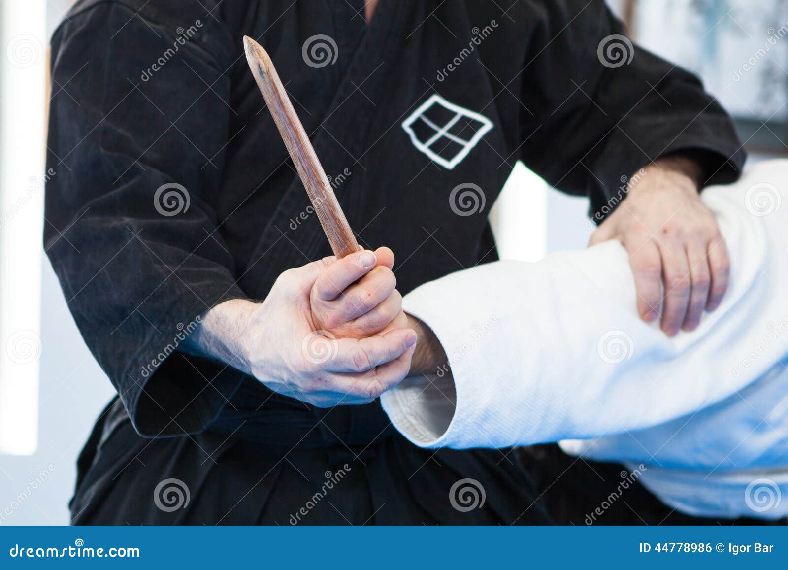 Martial arts instructor stock photo. Image of defense 44778986