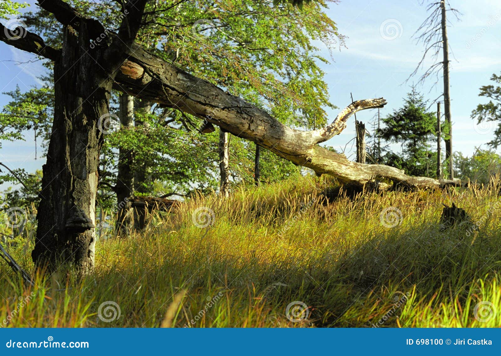 Jizera Mountains stock photo. Image of cloud, czech, broken 698100