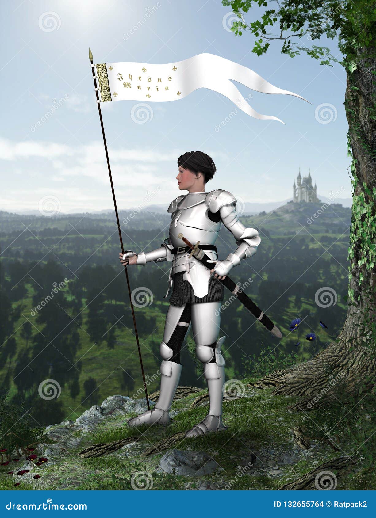 joan of arc jeanne d`arc in full armor