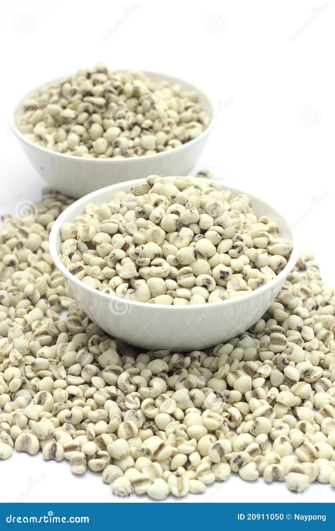 Job s tears stock photo. Image of gruel, barley, jobstears 20911050