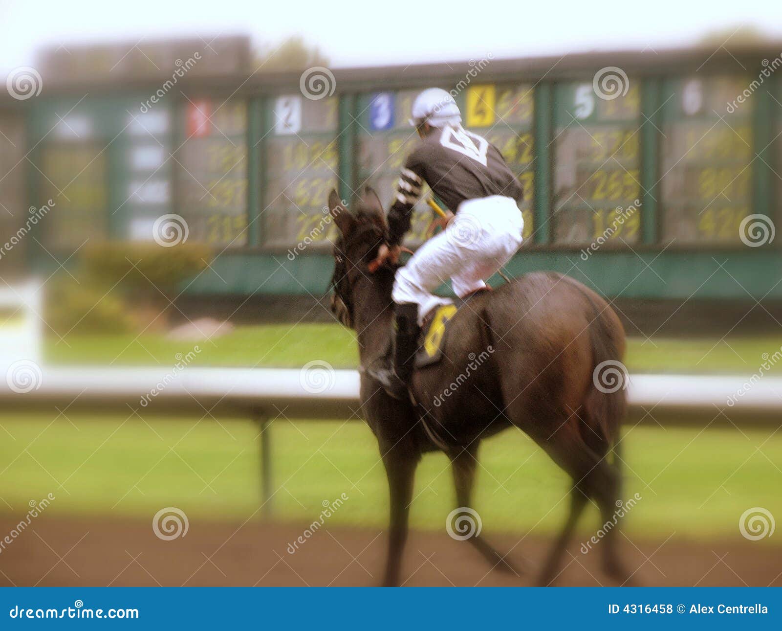 Jockey stock photo. Image of track, speed, racing, fait 4316458