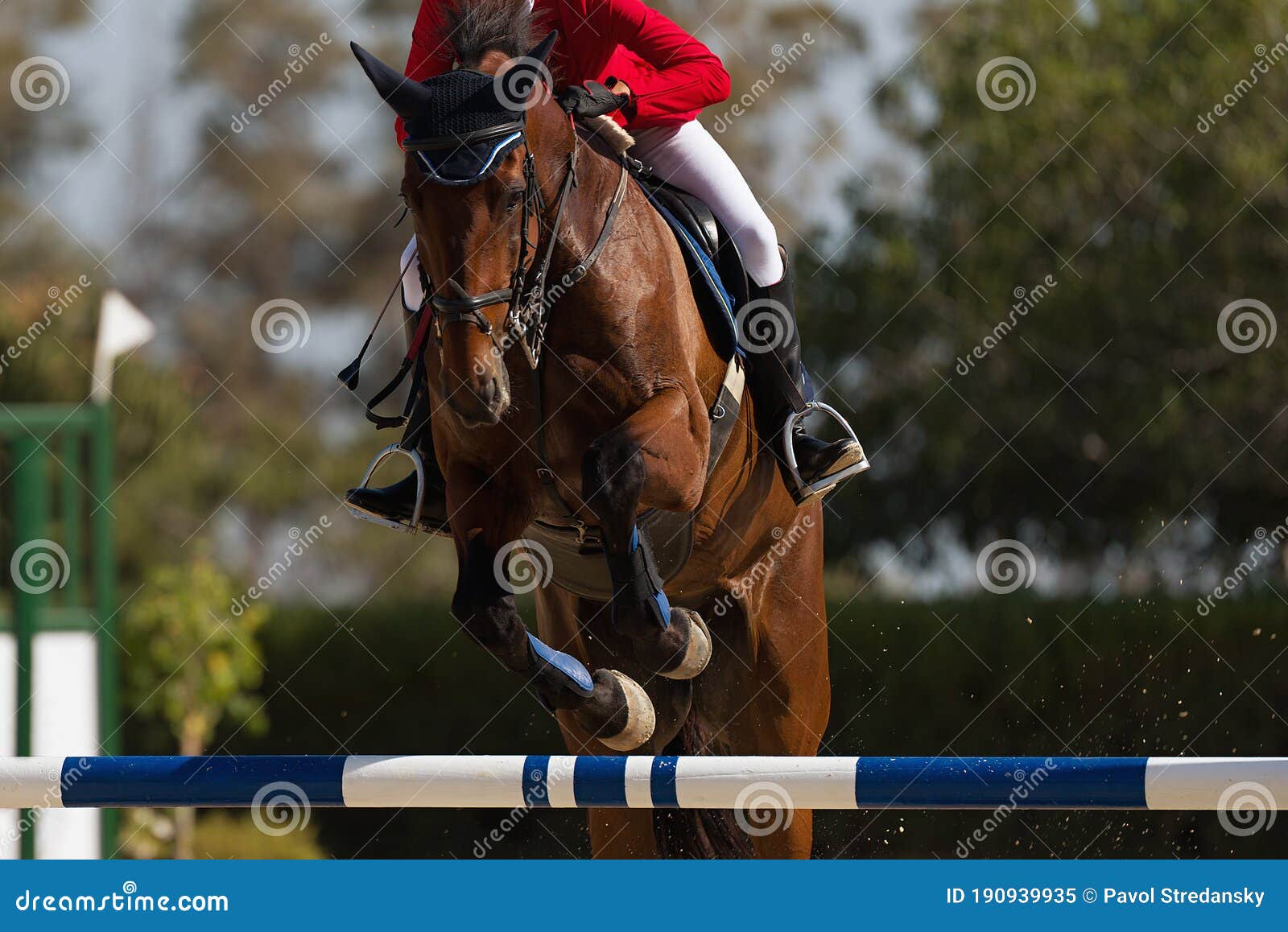 Jockey Com Seu Cavalo Pulando Sobre Um Obstáculo Imagem de Stock