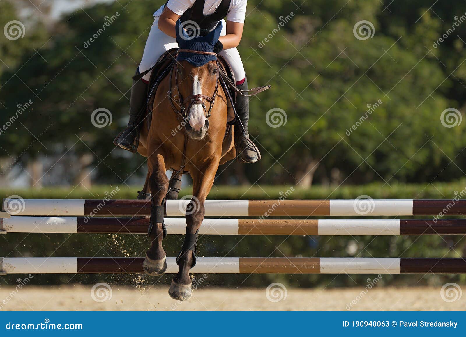 Foto de Cavalo Pulando Obstáculos e mais fotos de stock de