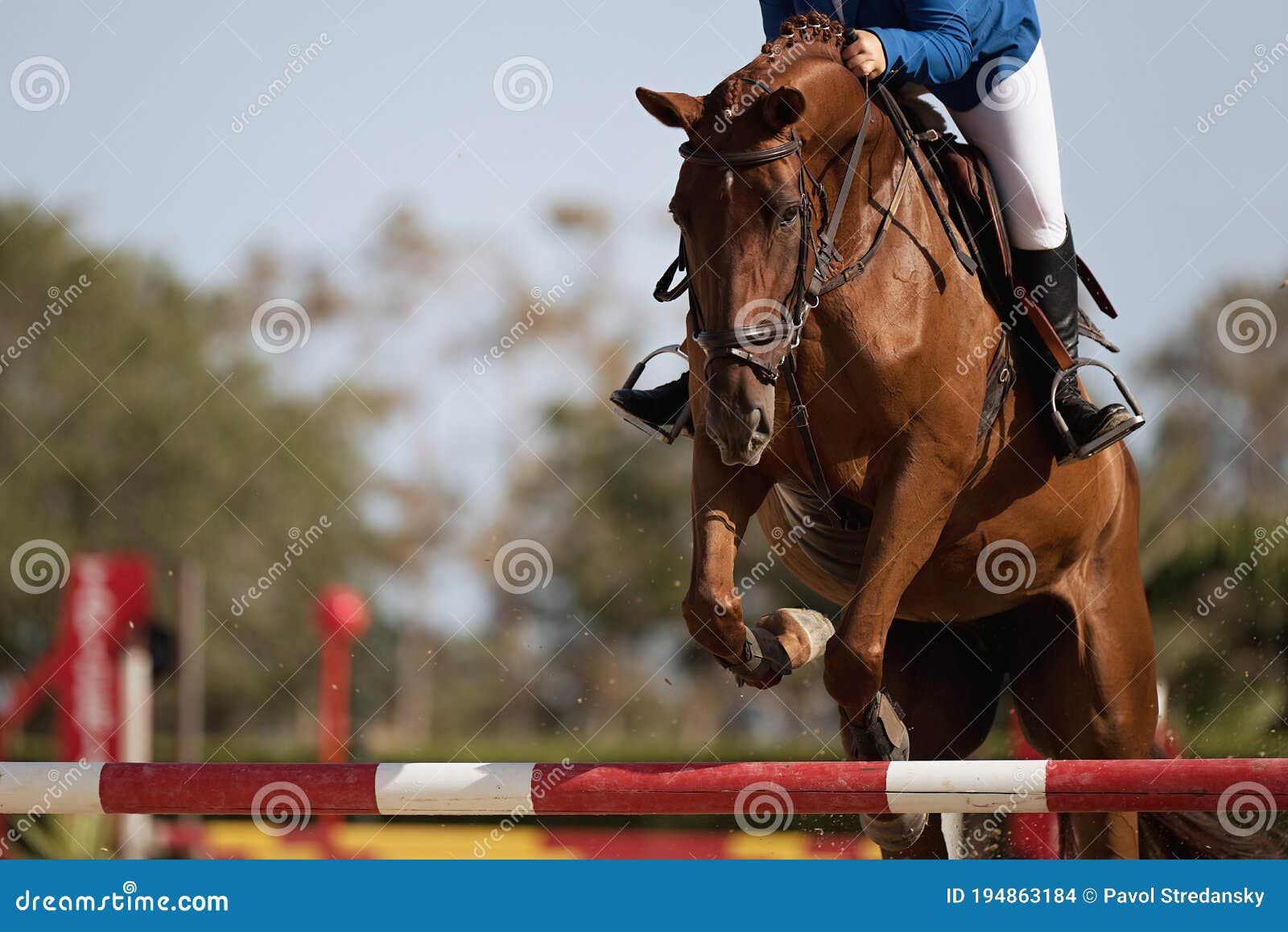 Jockey Com Seu Cavalo Pulando Sobre Um Obstáculo Pulando Sobre O