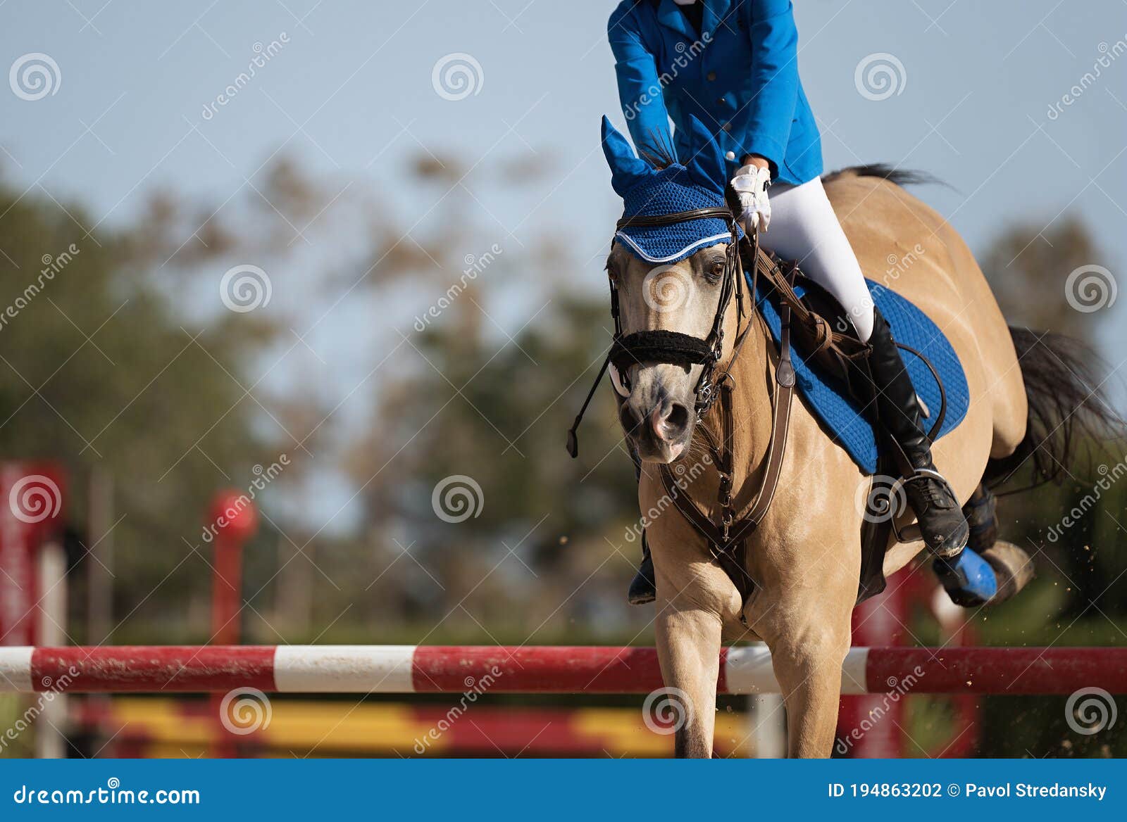 Jockey Com Seu Cavalo Pulando Sobre Um Obstáculo Pulando Sobre O Obstáculo  Na Competição Foto de Stock - Imagem de movimento, equestre: 194863184