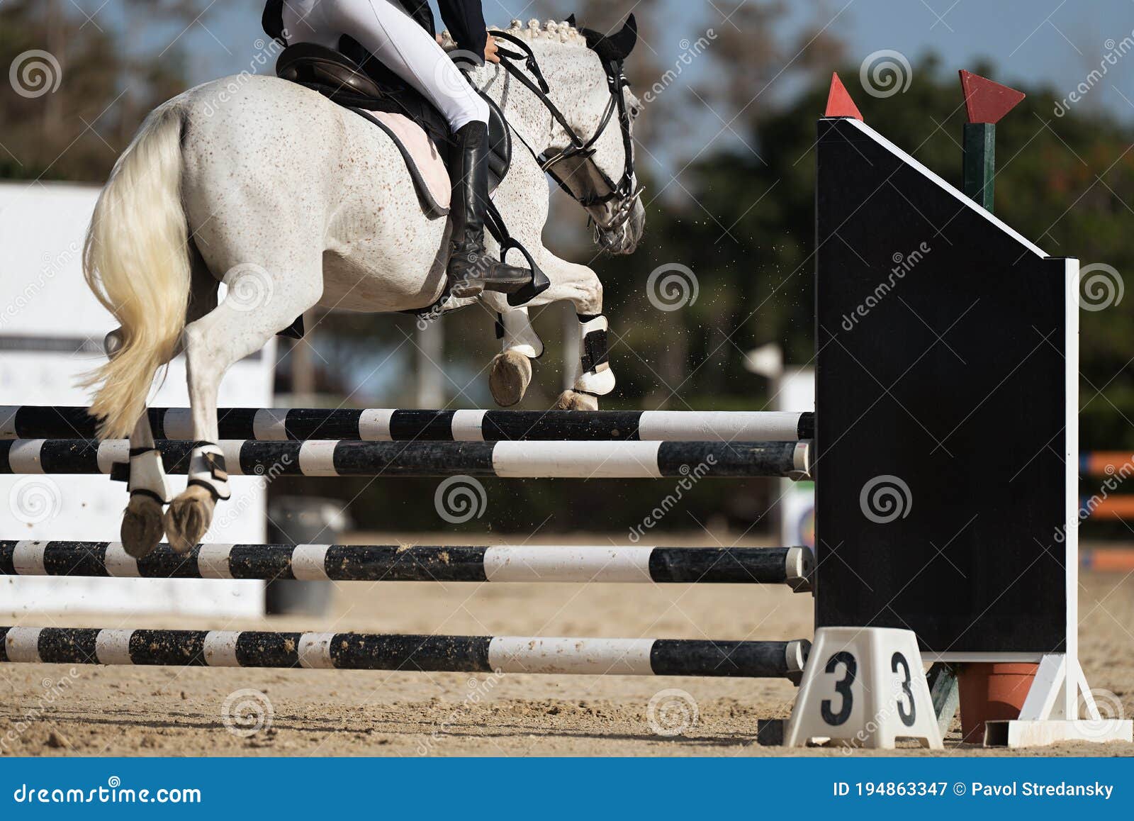 Jockey Com Seu Cavalo Pulando Sobre Um Obstáculo Pulando Sobre O