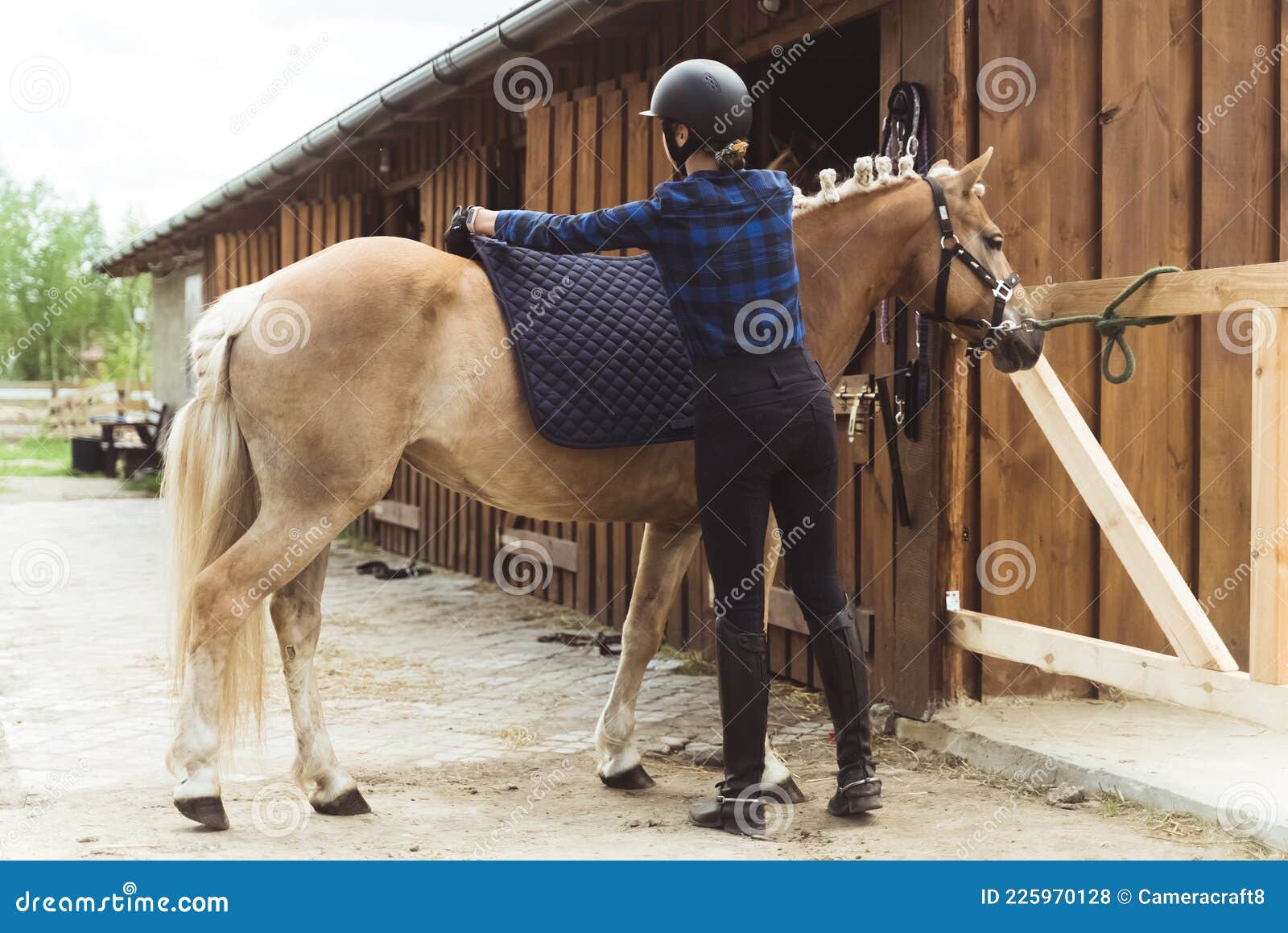 Mulher Jockey Com Seu Cavalo Marrom Selado Patenteando O Garanhão