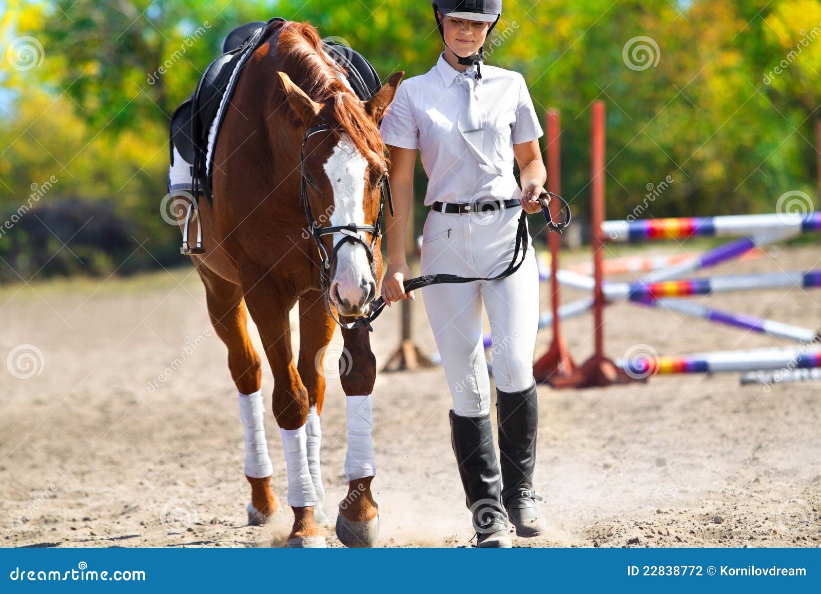 Jockey with purebred horse stock photo. Image of field 22838772