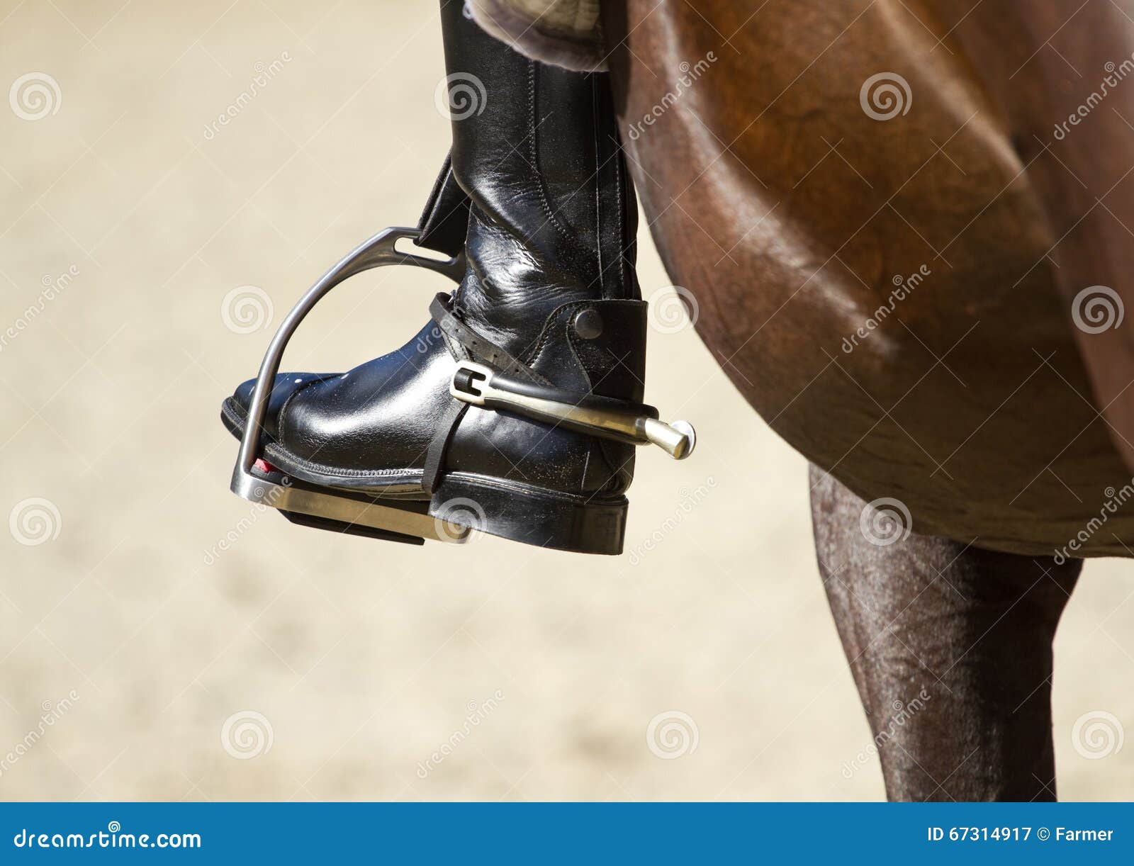 Jockey riding boot stock image. Image of showing, dressage 67314917