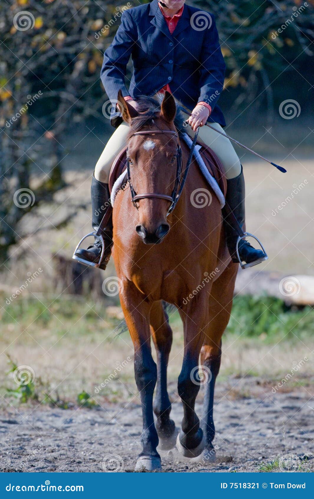 Jockey Riding Horse on Track Stock Image Image of horse, single 7518321