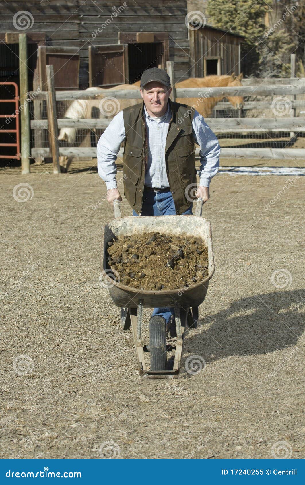 Farmer Joe Stock Photos Free & RoyaltyFree Stock Photos from Dreamstime