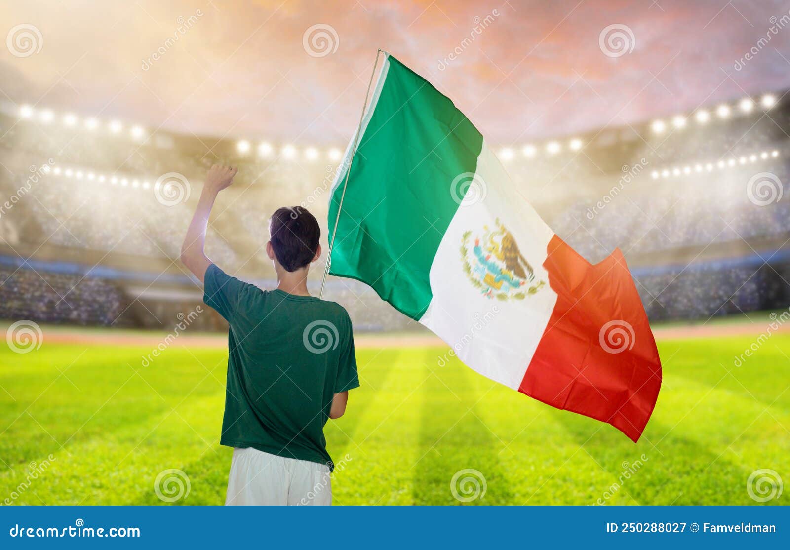 Jogador De Futebol Mexico No Estádio Imagem de Stock - Imagem de