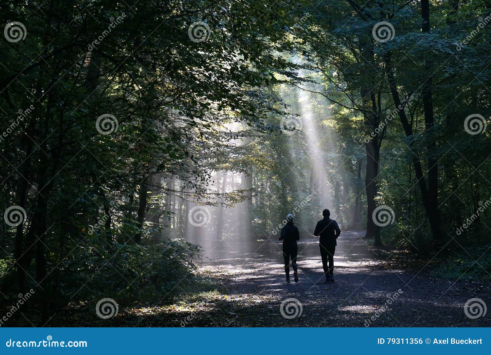 jogging couple silhouetted against sunbeam in dark forest