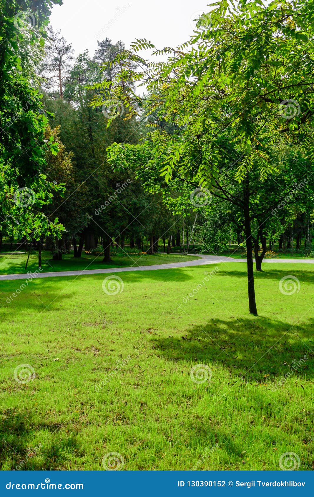Jogging Track at Green Garden. Summer Time. Stock Photo - Image of