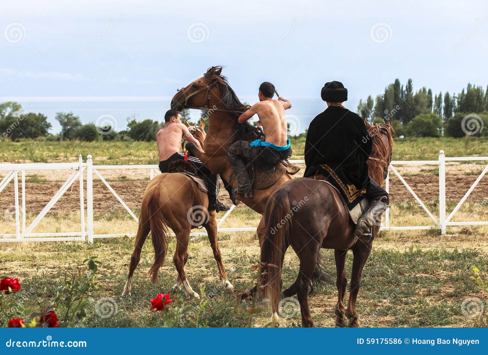 Jogo Do Cavalo No Lago Kul Da Música Em Quirguizistão Foto Editorial -  Imagem de campo, hélice: 59175586