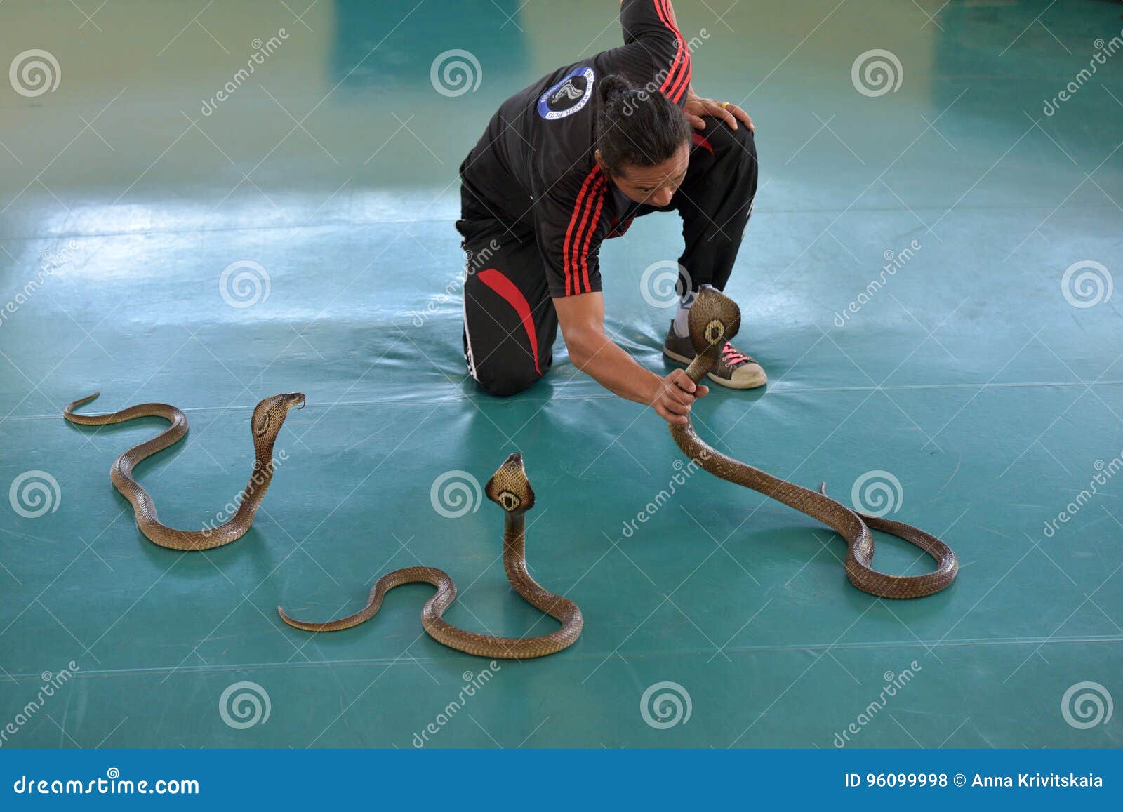 Jogo Do Executor Com Cobra Durante Uma Mostra Em Um Jardim Zoológico Foto  de Stock Editorial - Imagem de animal, pessoa: 96099998