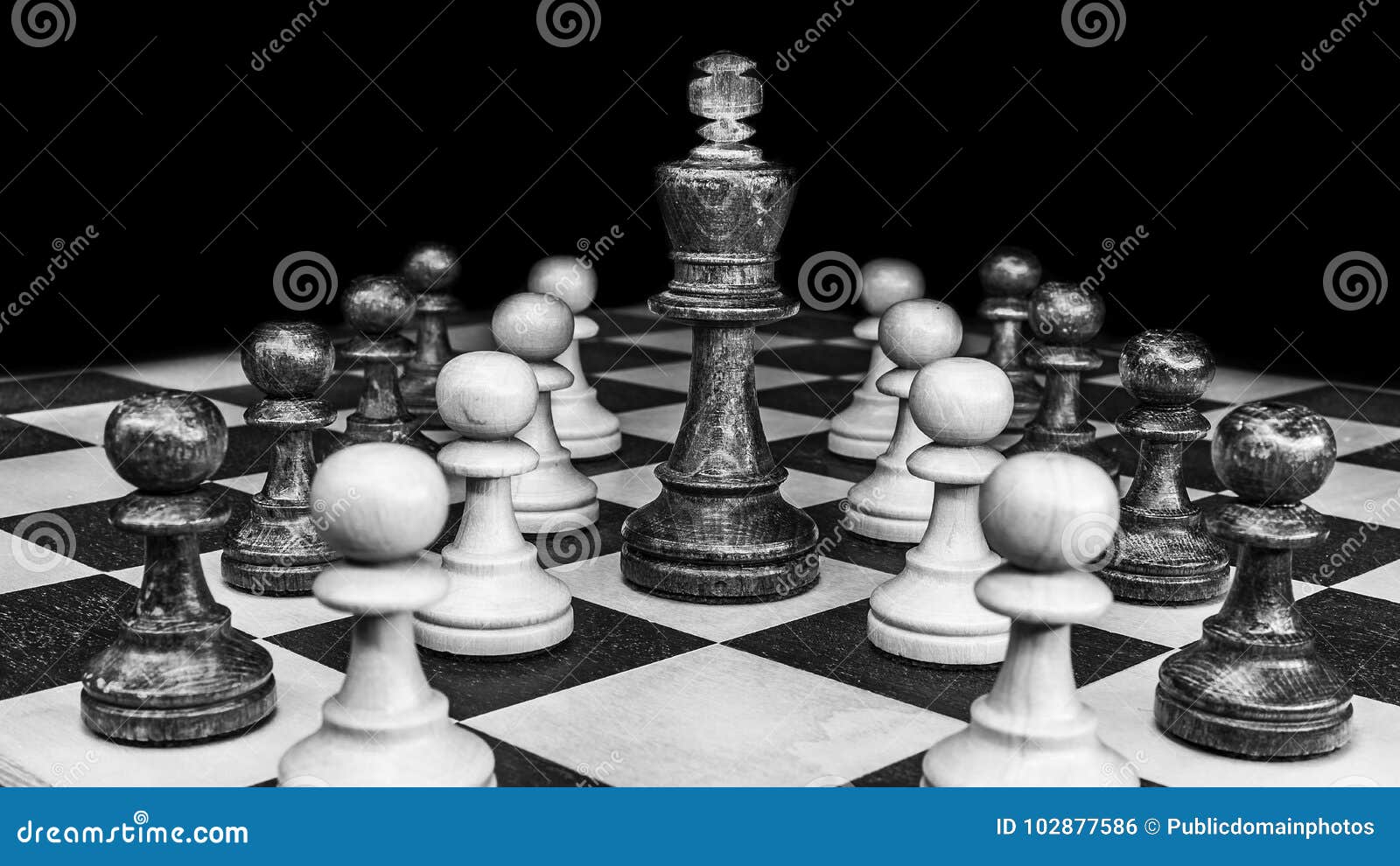Plano de fundo xadrez xadrez Foto stock gratuita - Public Domain Pictures