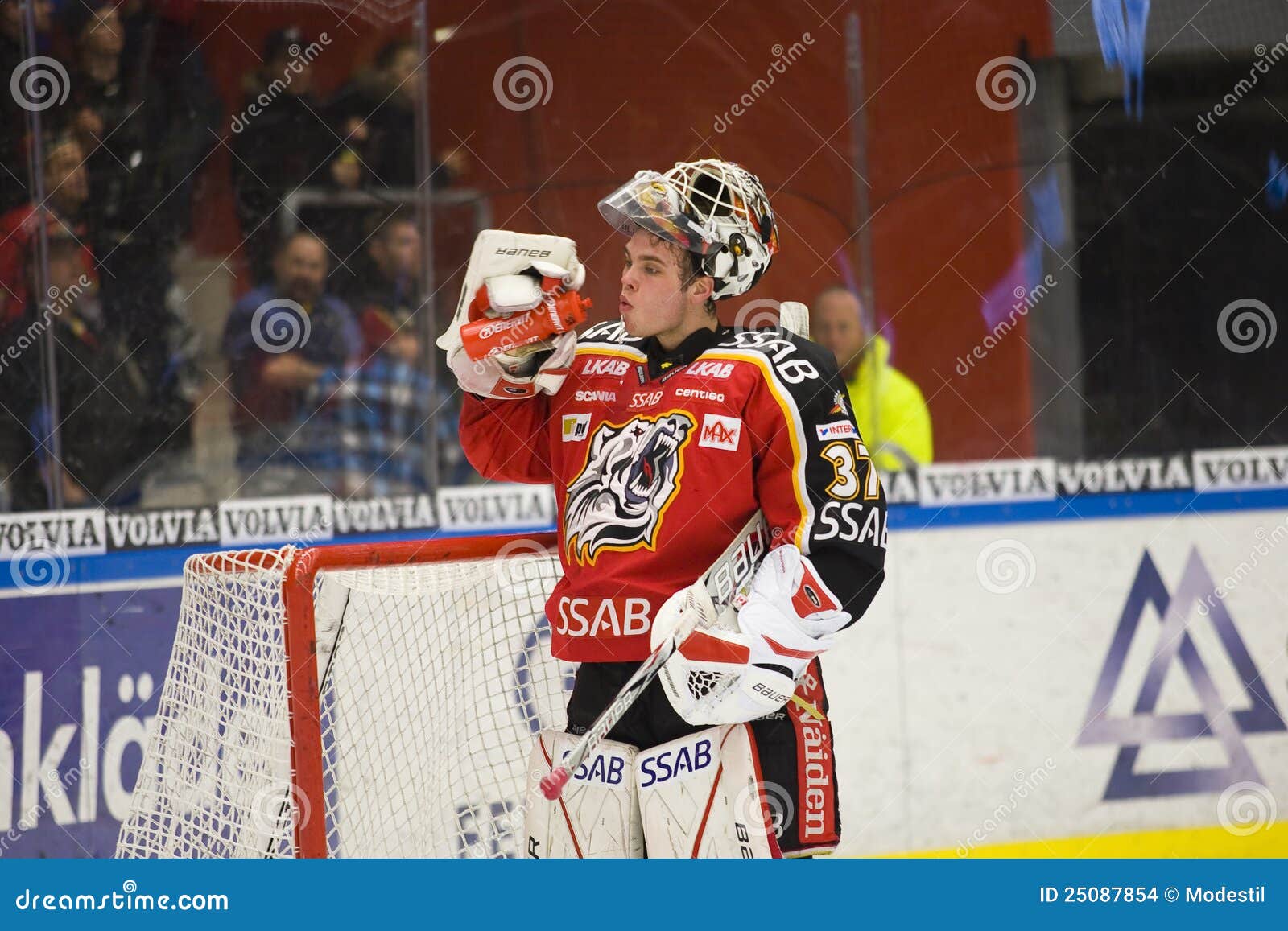 Johan Gustafsson Ice Hockey Goalie Editorial Stock Image Image of