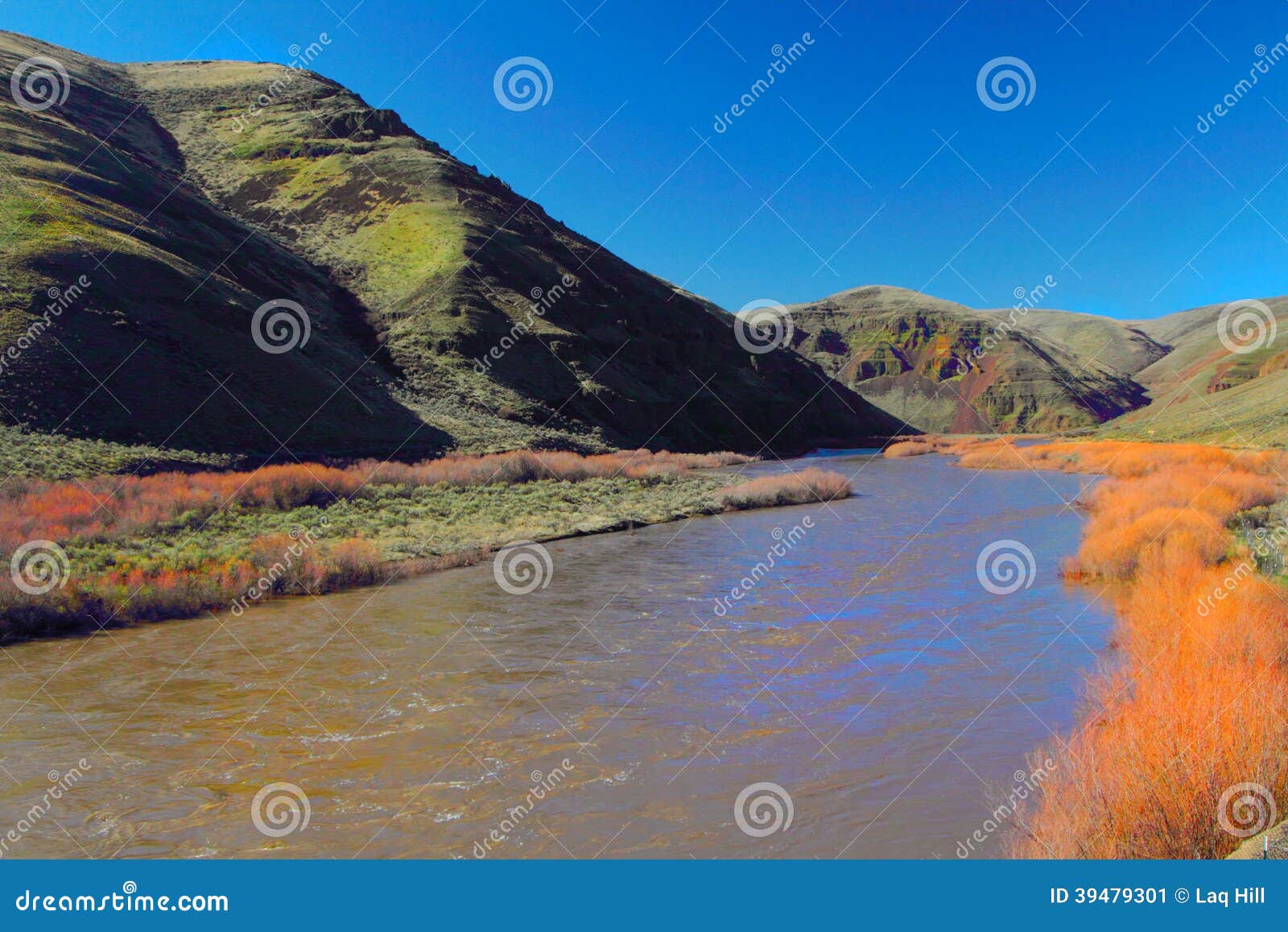 John Day River stock image. Image of brush, edge, environment 39479301