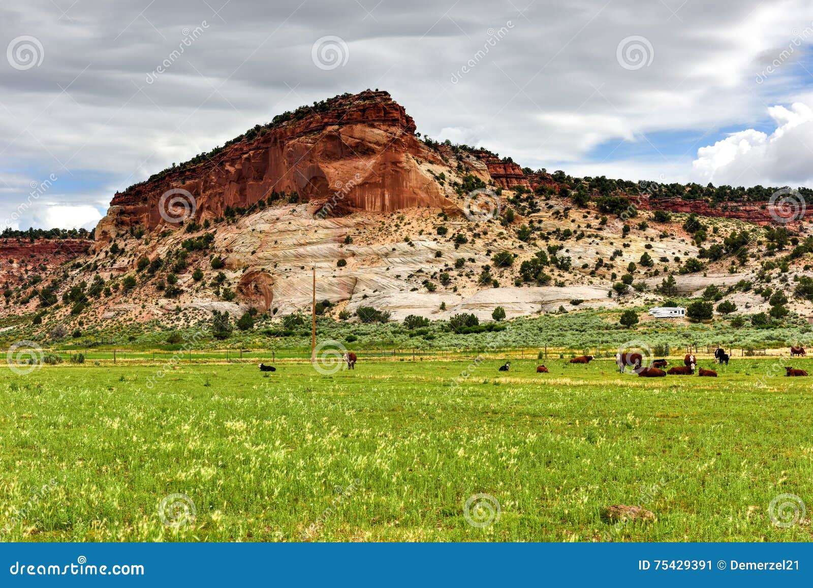 Johnson Canyon Road Utah stock image. Image of monument 75429391