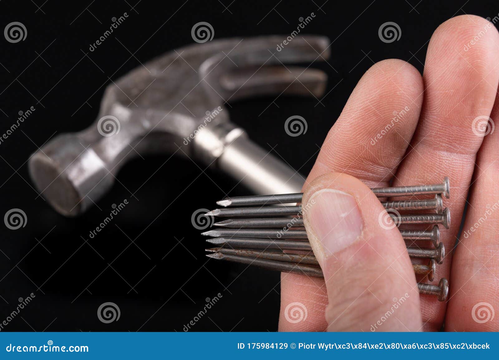 Joiner& X27;s Hammer and Nails Held in Hands. Carpentry Accessories and