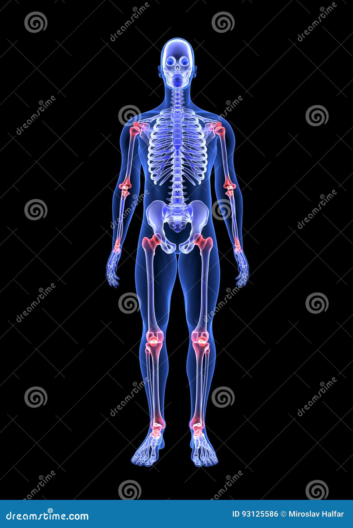 Blue Human Anatomy Body And Skeleton 3d Scan Render On Black Background A65