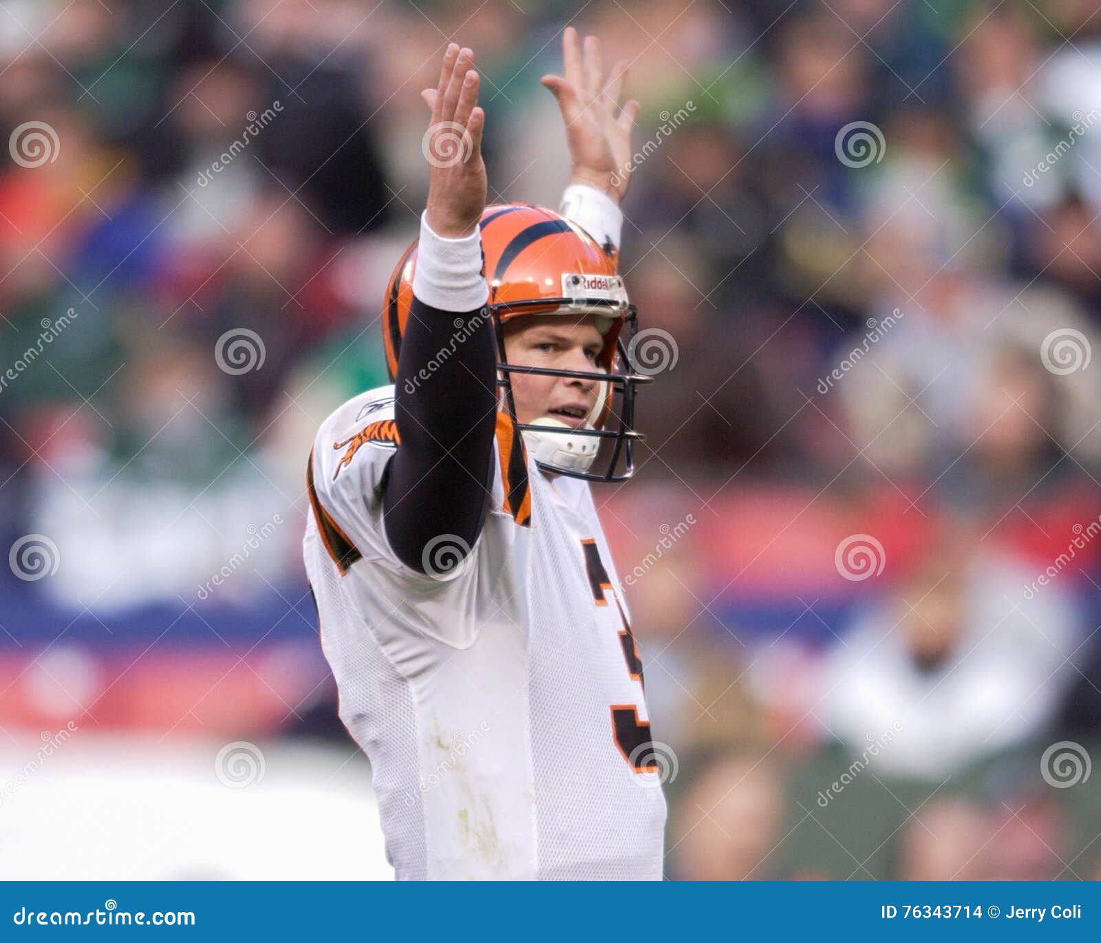 Jon Kitna editorial stock image. Image of national, game - 76343714