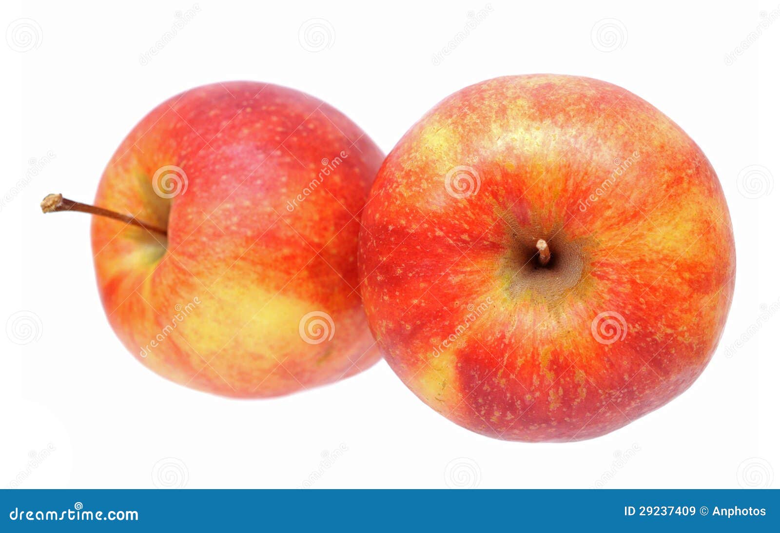 Jonagold apple stock image. Image of juicy, harvest, apple 29237409