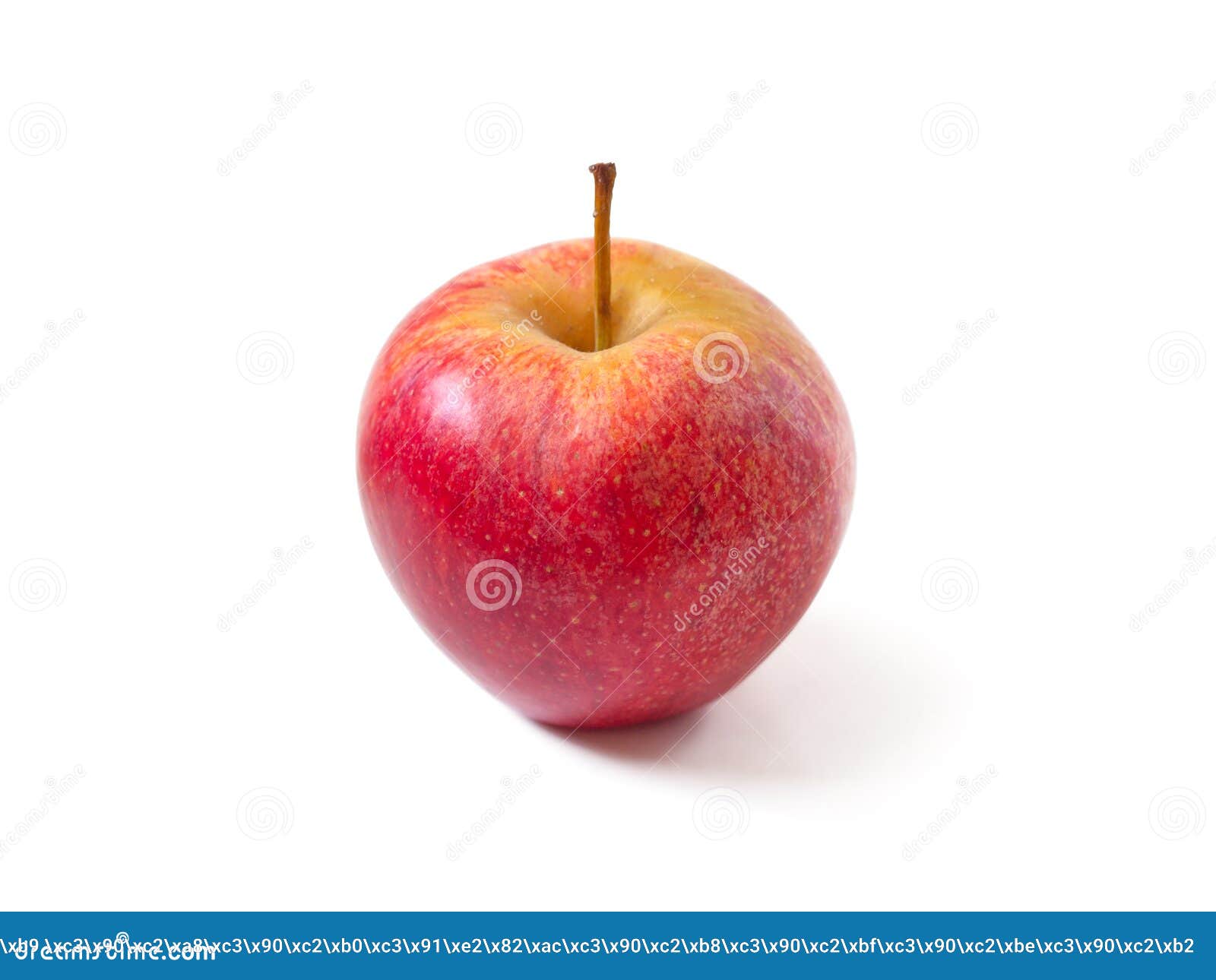 The Jonathan Apple stock image. Image of drop, healthy 182870449