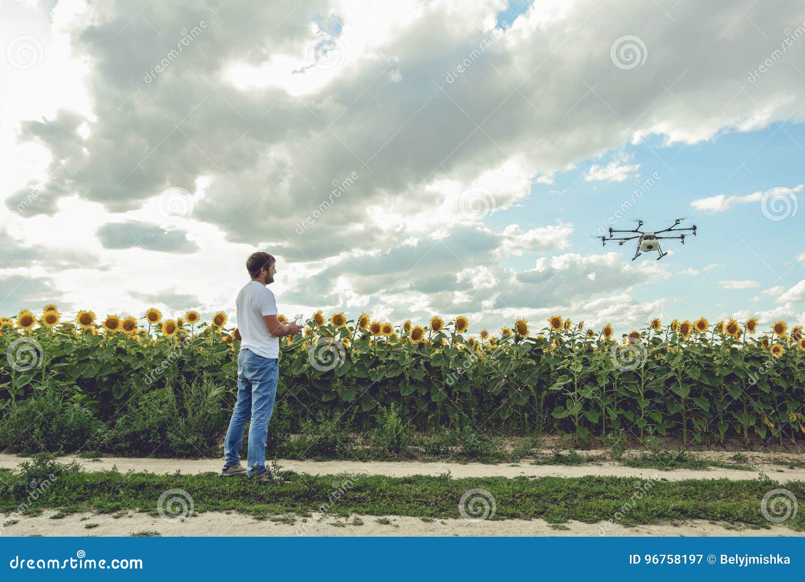 Jonge mens die en op een vliegende hommel in blauwe duidelijke hemel letten navigeren over zonnebloemgebied