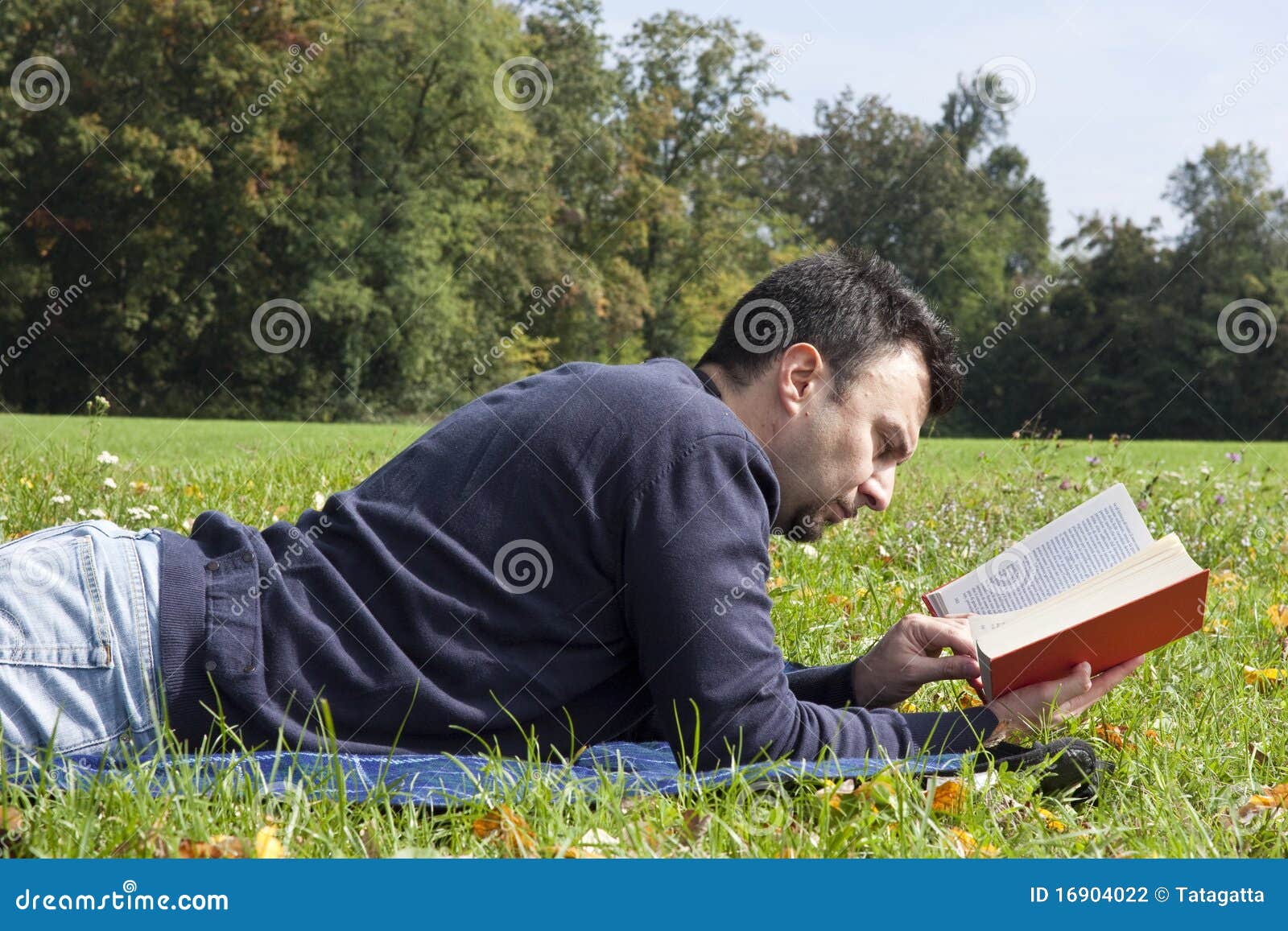 Jonge Volwassen Lezing bij het Park. Jonge Volwassene die en een Boek ontspant leest tijdens een Middag van het Weekend