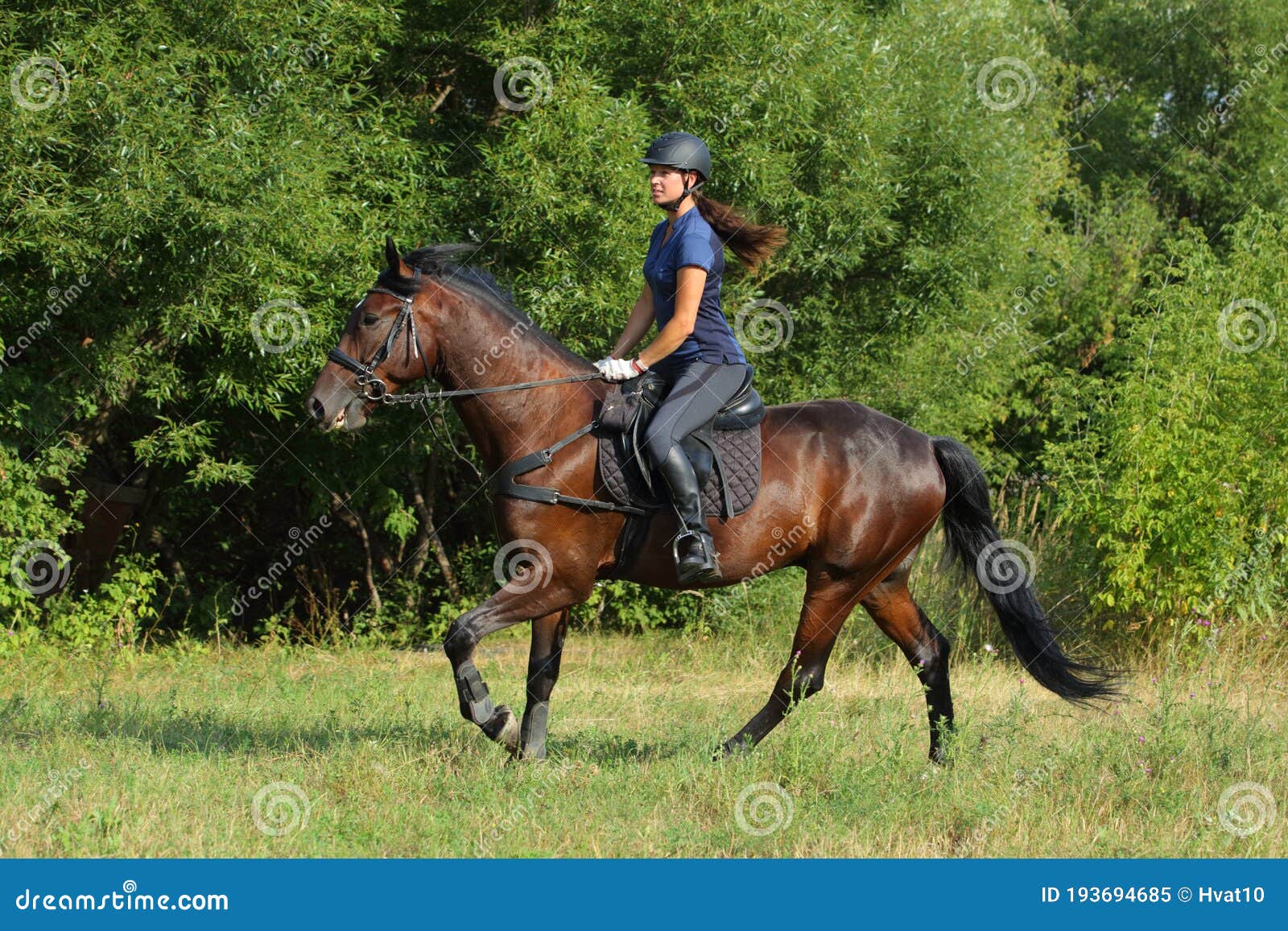 Jonge Vrouw in En Helm Rijdend Paard Stock Afbeelding - Image of levensstijl, buiten: 193694685