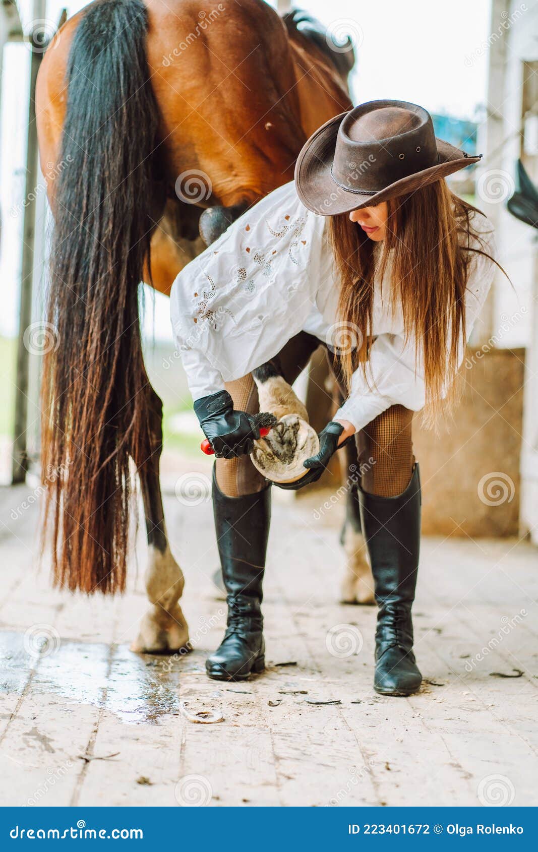 Beheren Rusland generatie Jonge Vrouw Verkleed in Rijkleding , Die De Hoeven Van Haar Bruin Paard  Schoonmaakt in Een Stal Stock Foto - Image of veiligheid, hoef: 223401672