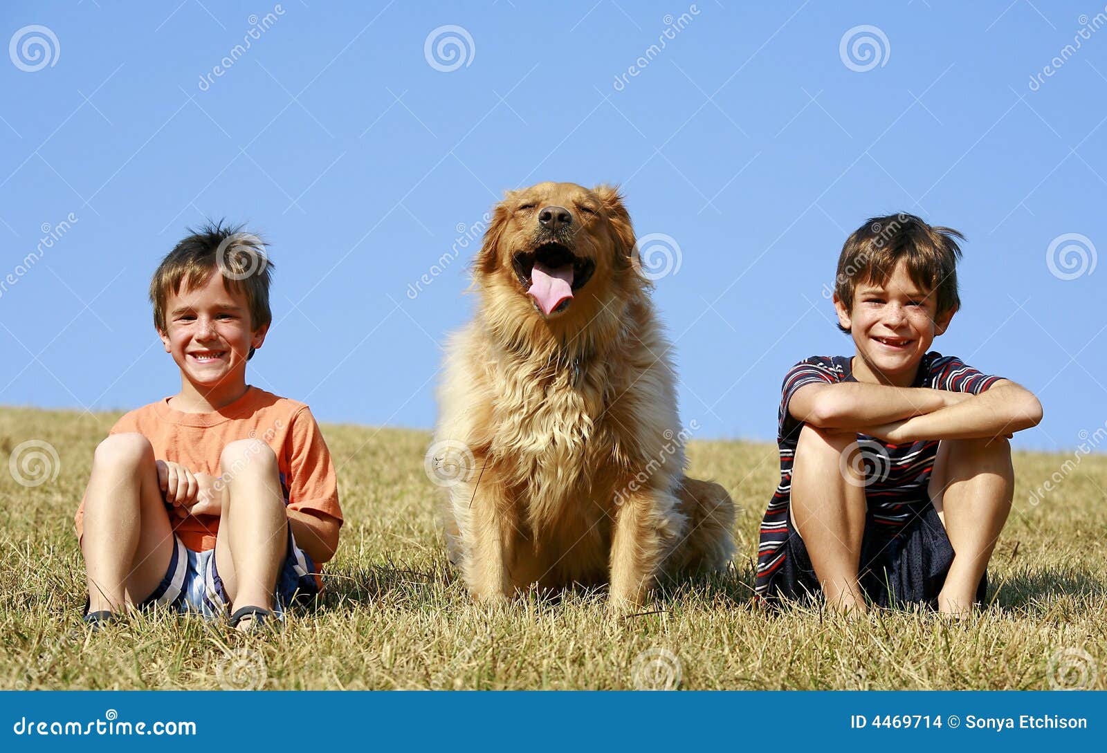 Мальчик и две собаки. Два мальчика и собака. Мальчик с щенком фото. Мальчик с собакой фото. Dreamstime мальчик с собака.