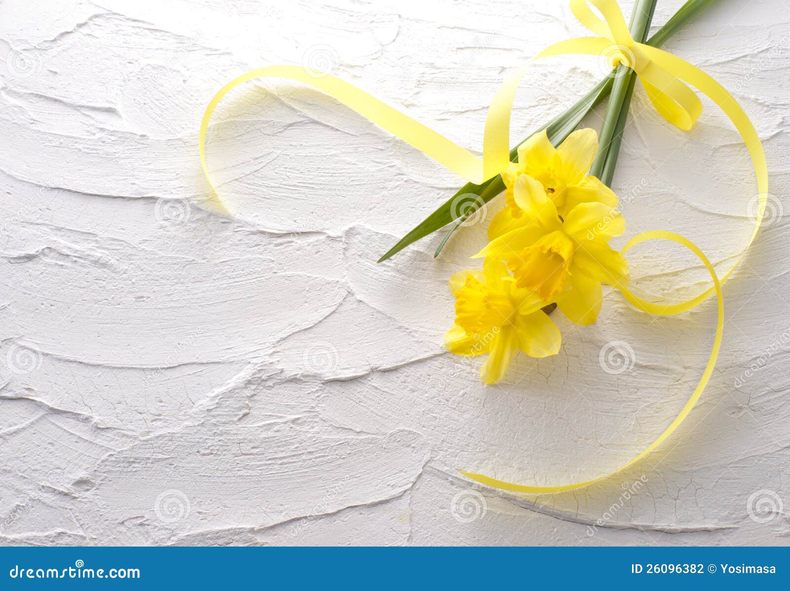 Jonquil flower stock photo. Image of delicate, leaf, bouquet - 26096382