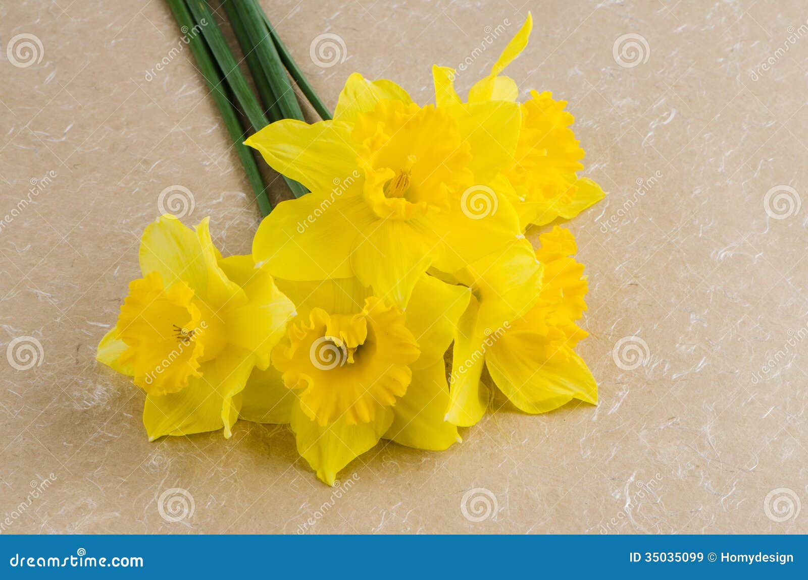 Jonquil flowers stock image. Image of romantic, blossom 35035099
