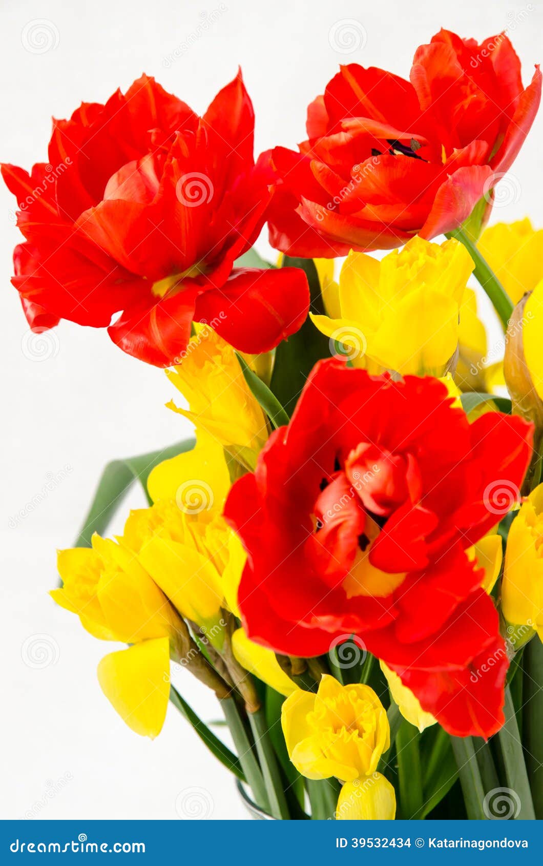 Jonquille Jaune Et Tulipe Rouge Photo stock - Image du carte, heureux:  39532434