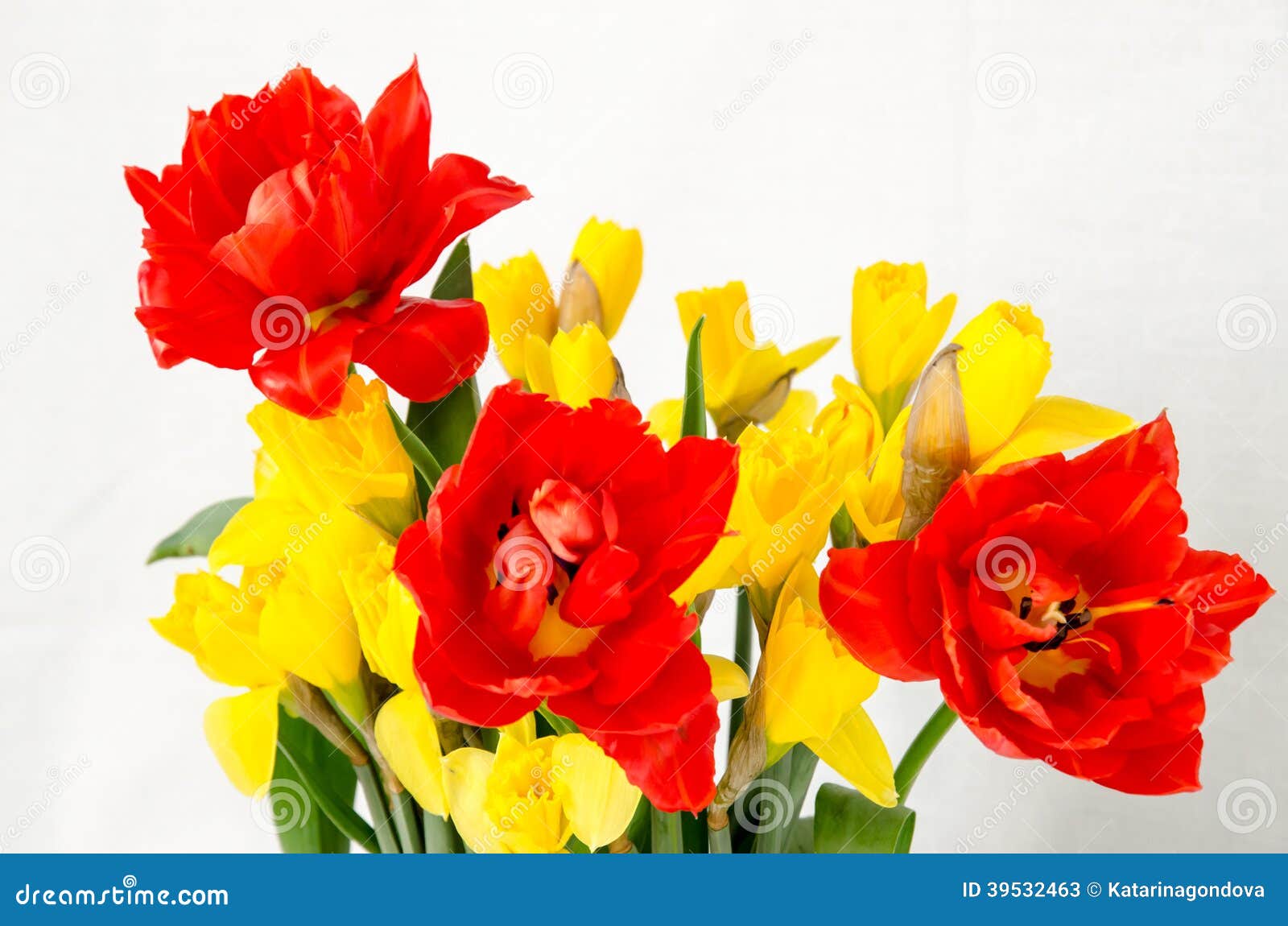 Jonquille Jaune Et Tulipe Rouge Image stock - Image du jonquille,  anniversaire: 39532463