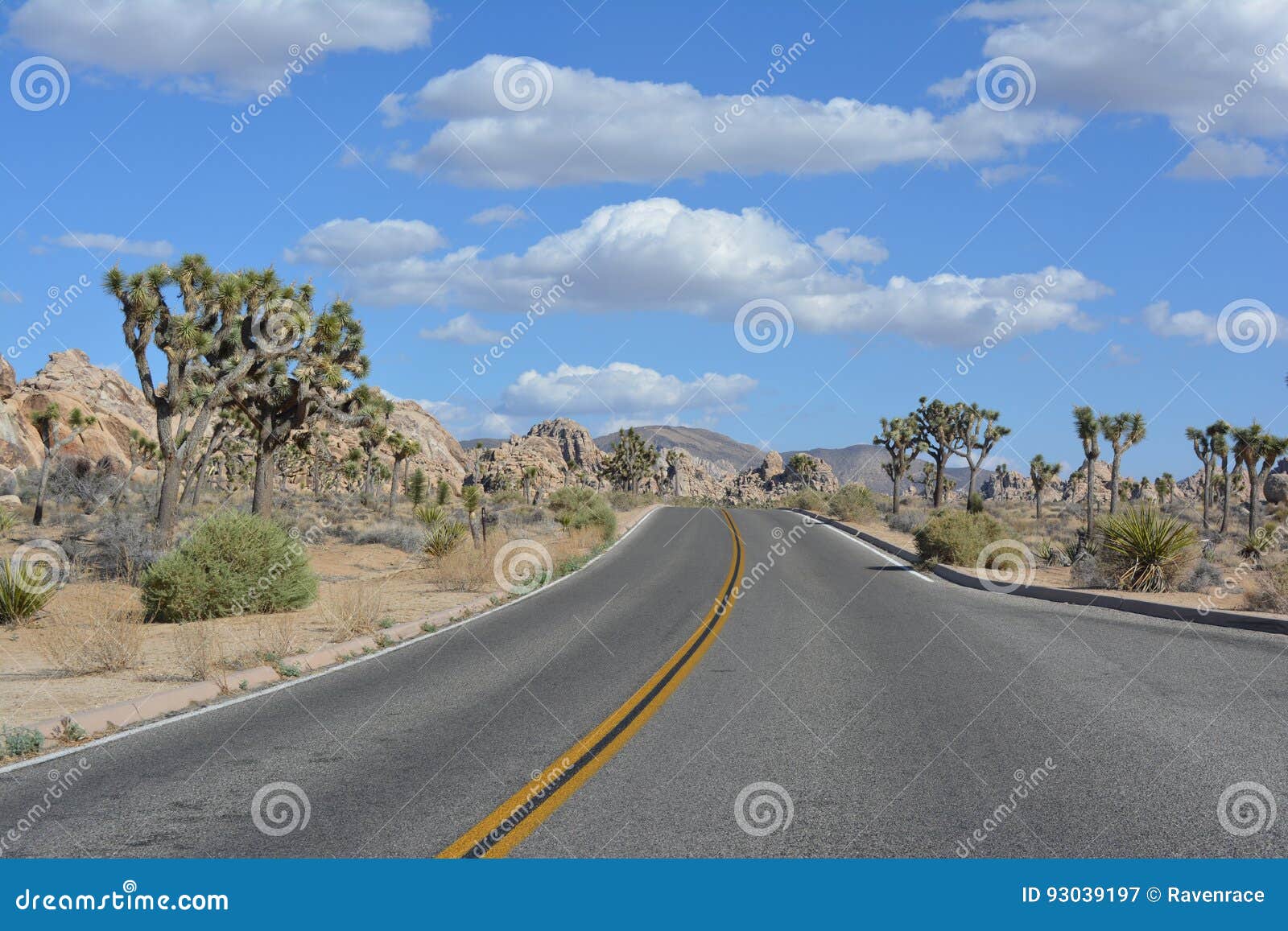 Joshua Tree National Park Desert California Stock Image Image Of