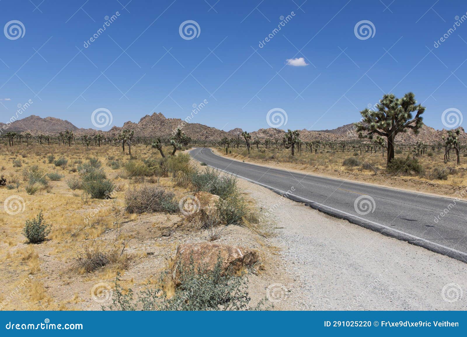 road in joshua tree national park