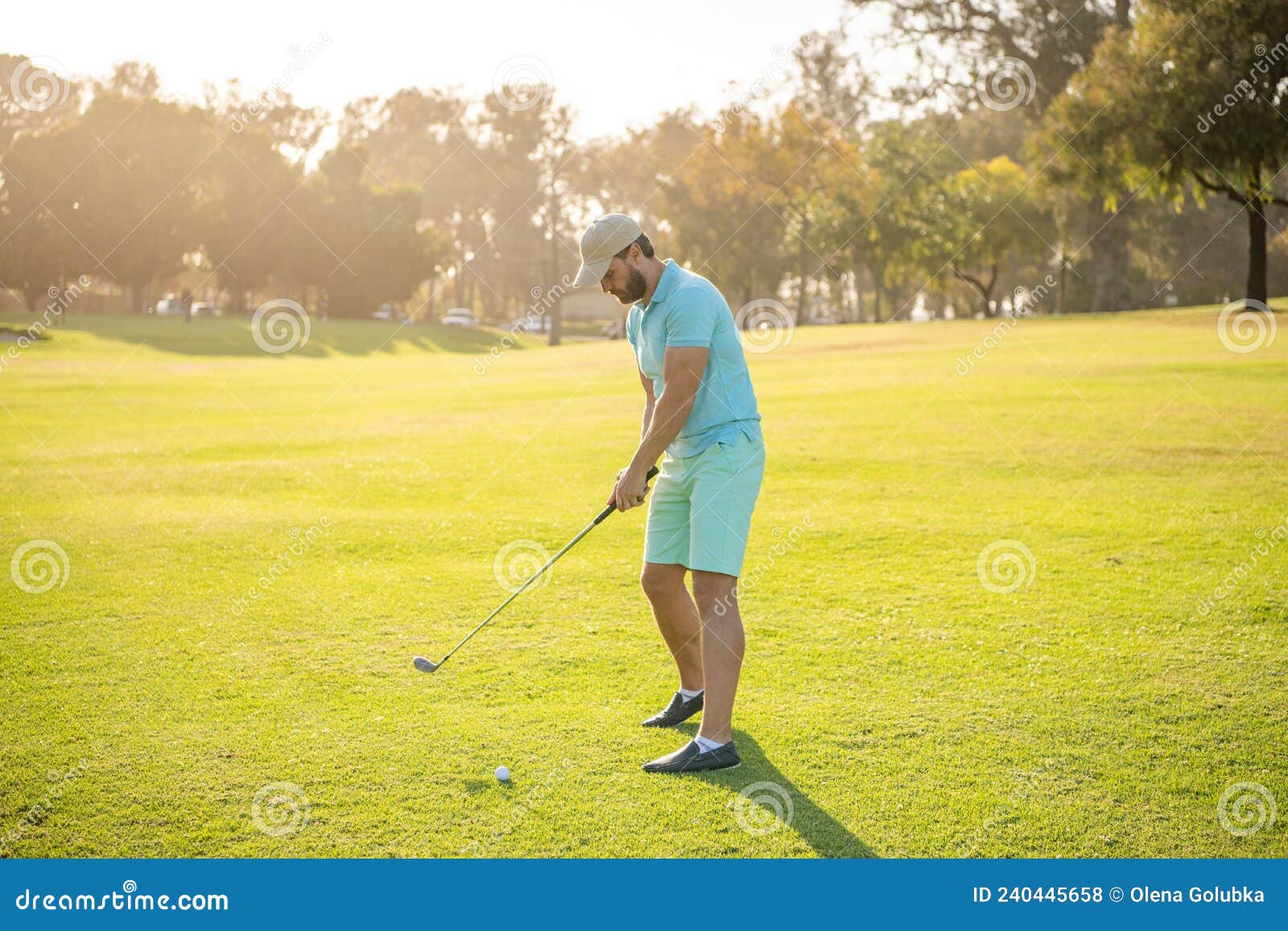 Main Tenir Une Balle De Golf Homme Golfeur Avec Gant De Golf Joueur De Golf  Masculin Sur Un Parcours De Golf Professionnel