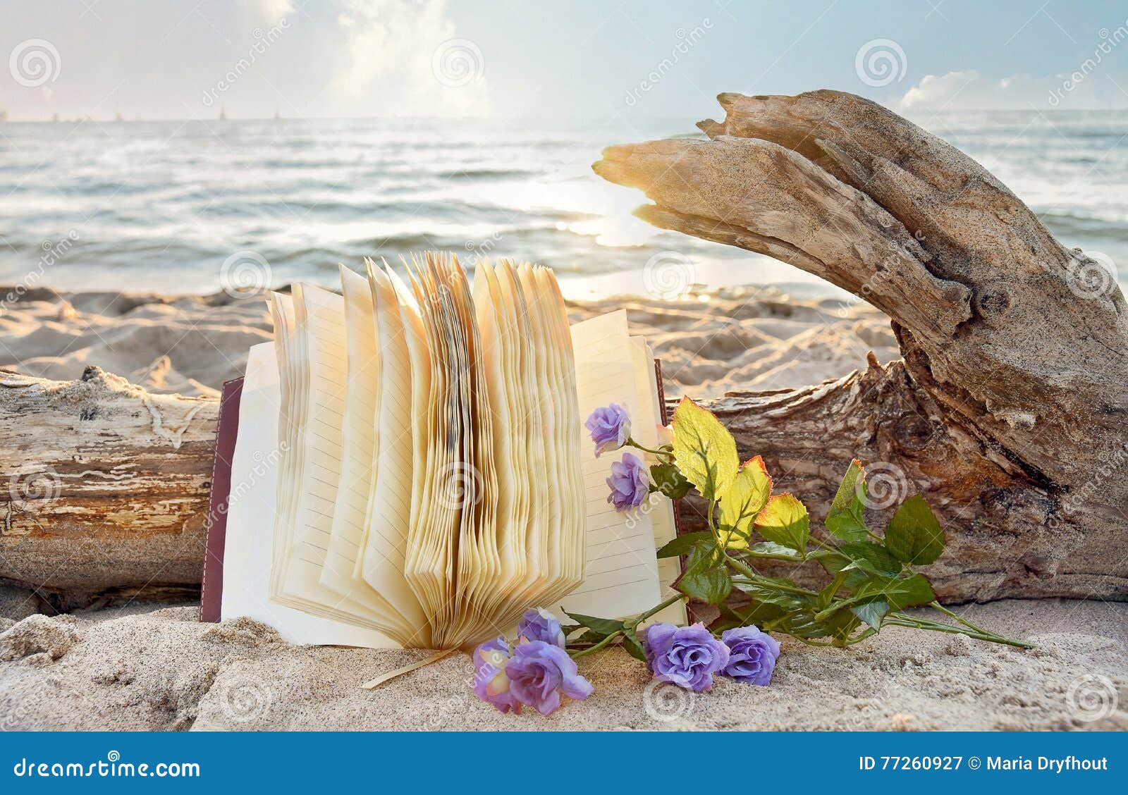 journal and roses in beach sand