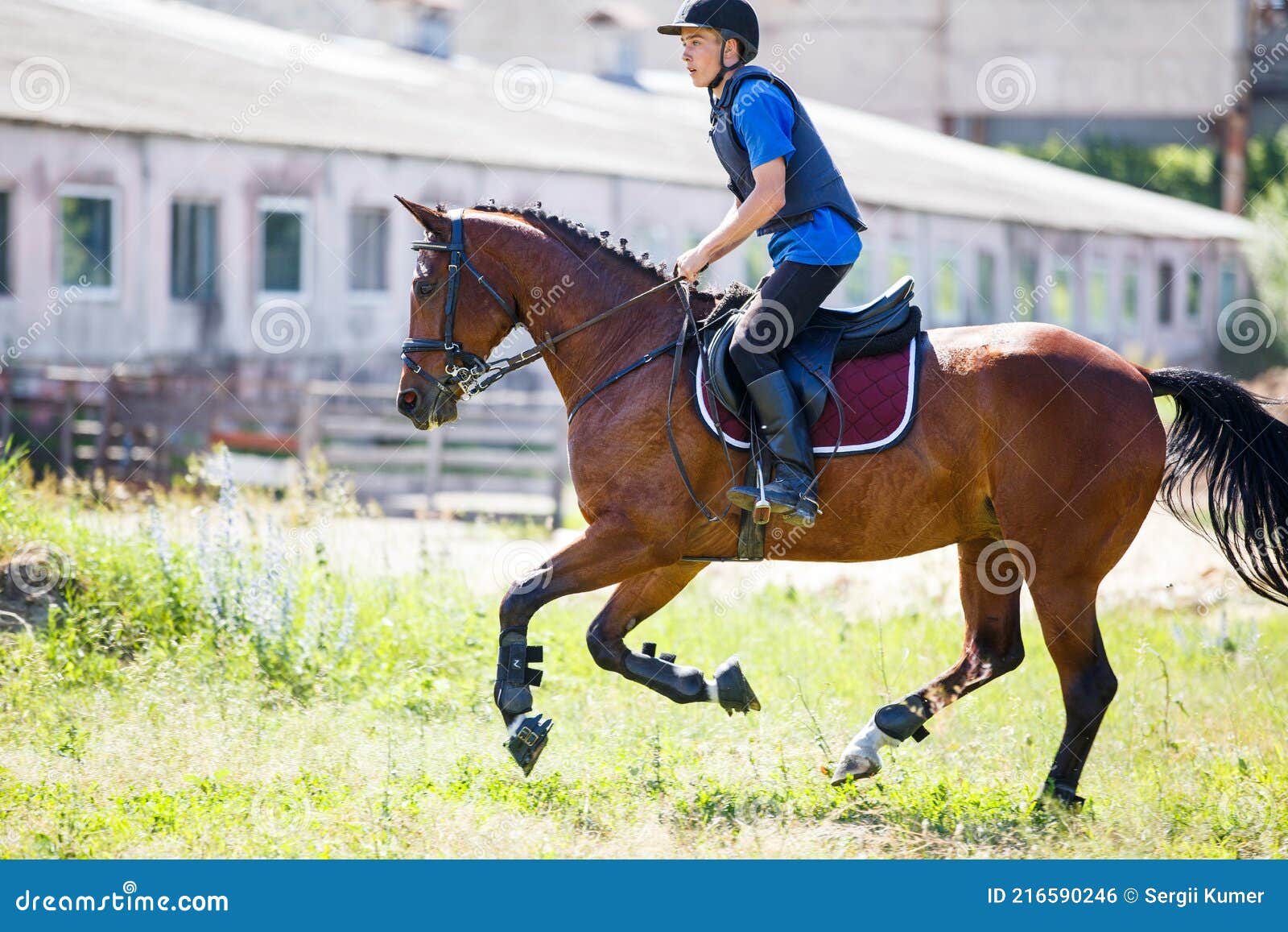 Jovem Homem Pulando Cavalo Em Seu Curso Saltando Foto de Stock