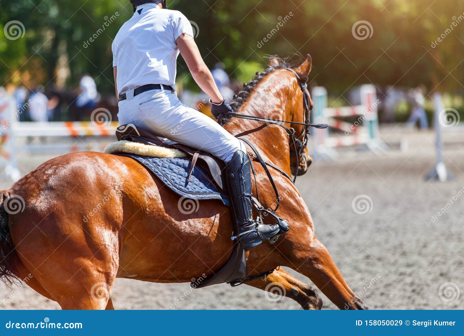 Jovem Homem Pulando Cavalo Em Seu Curso Saltando Foto de Stock