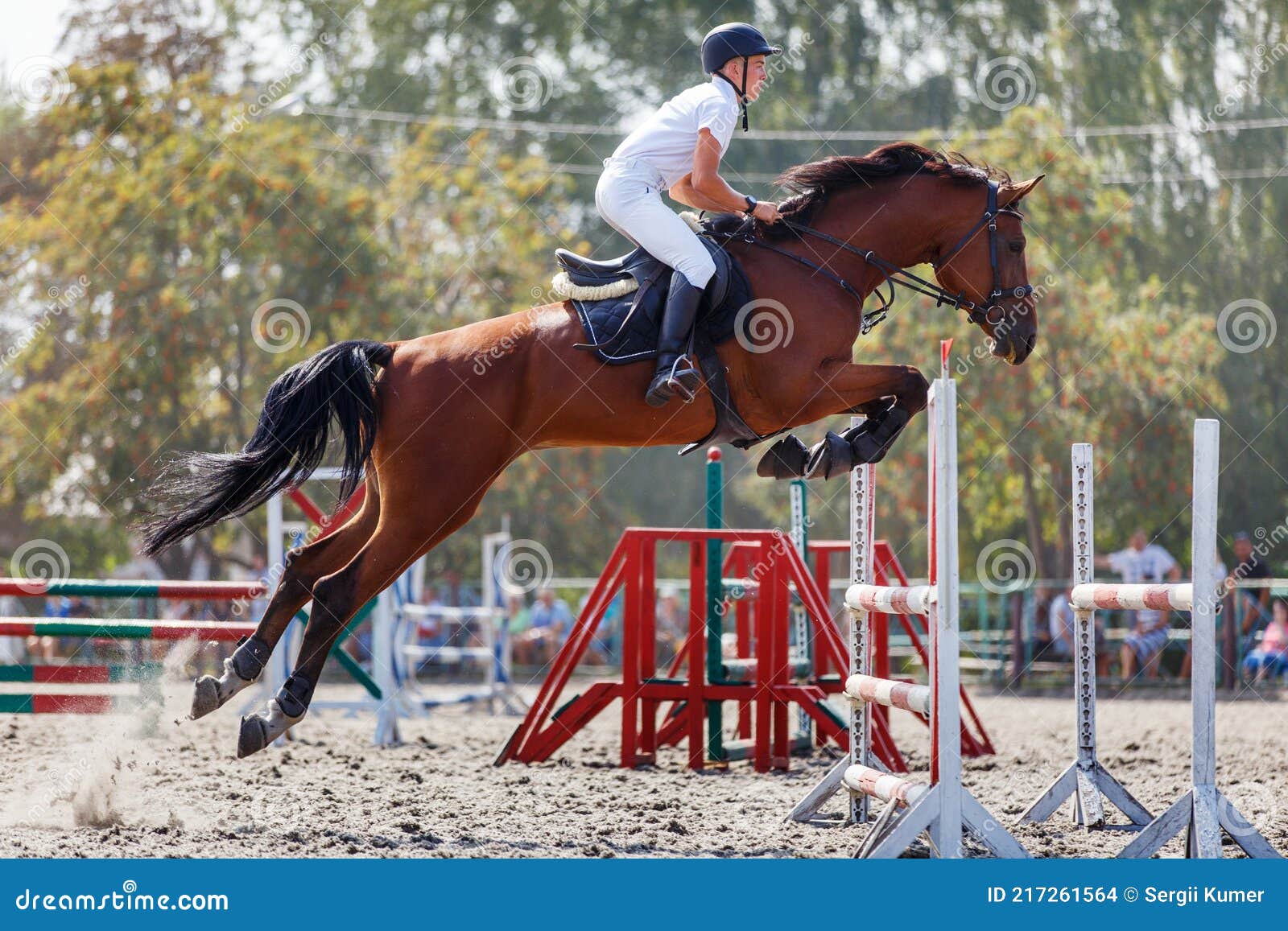 Jovem Homem Pulando Cavalo Em Seu Curso Saltando Foto de Stock