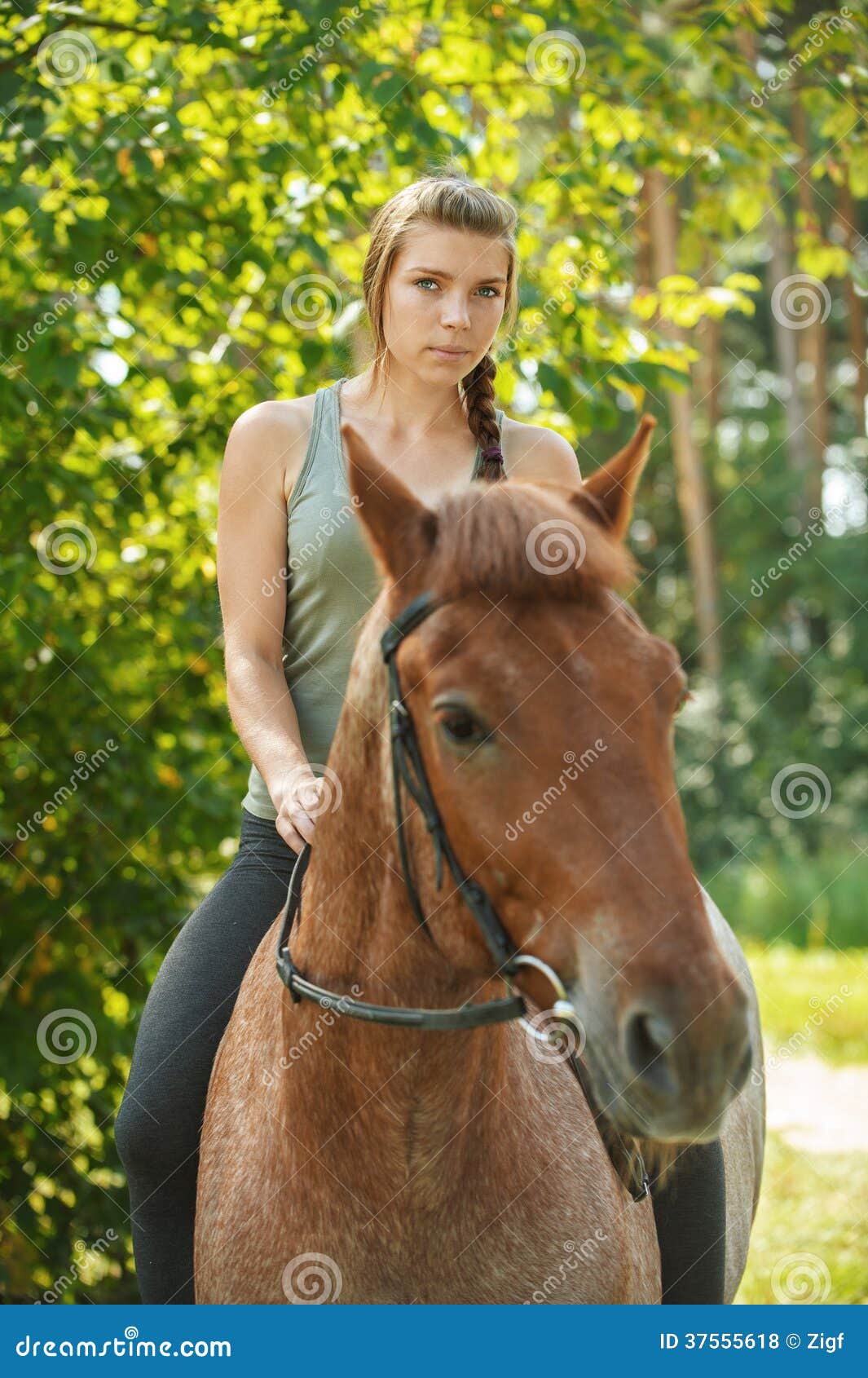 Foto de Cavalo De Frente Jóquei Menina Bonita Por Suas Rédeas Em Todo País  Em Equipamento Profissional e mais fotos de stock de Alazão - Cor de Cavalo  - iStock