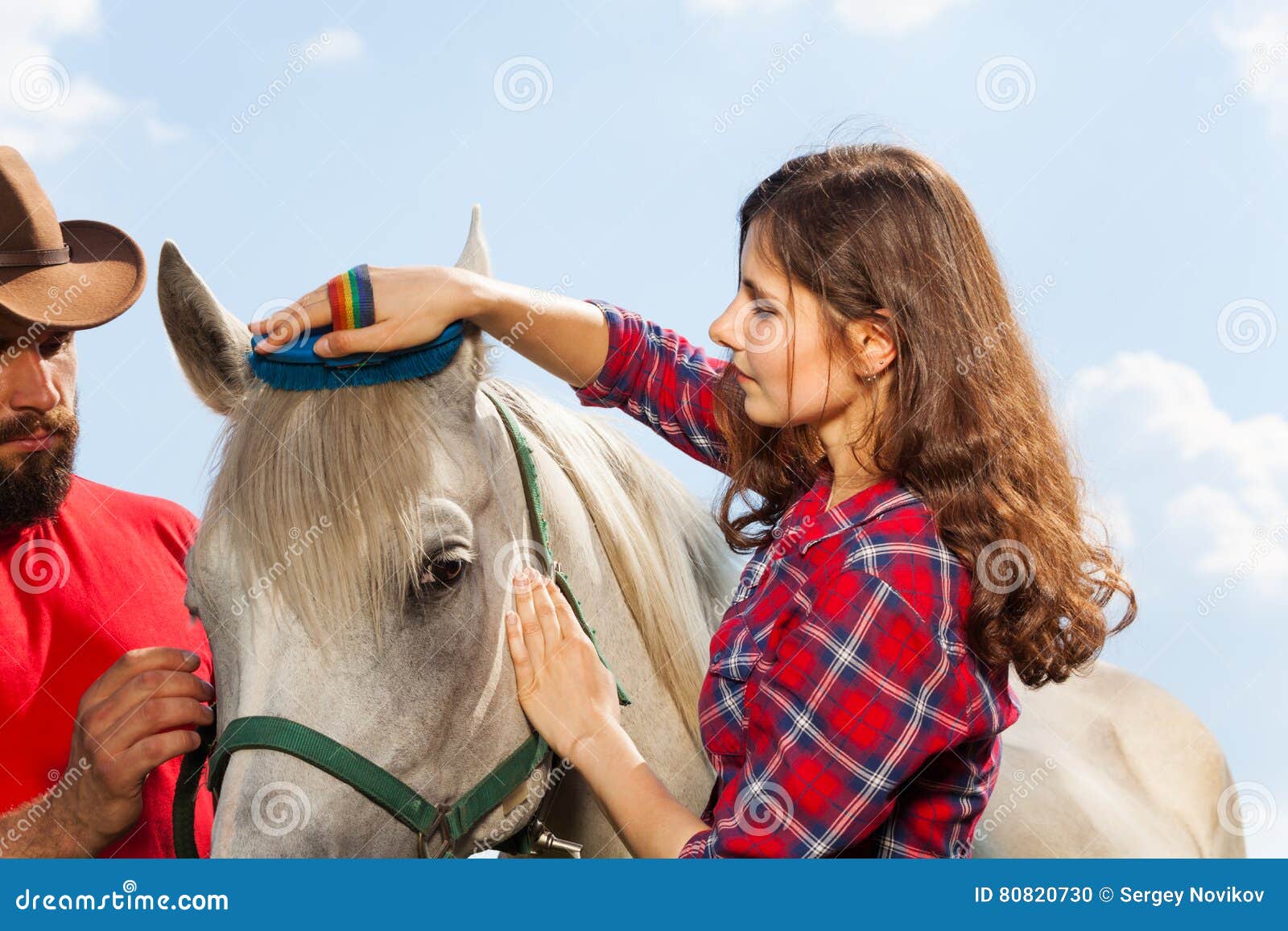 Cavalo no freio sorrindo closeup